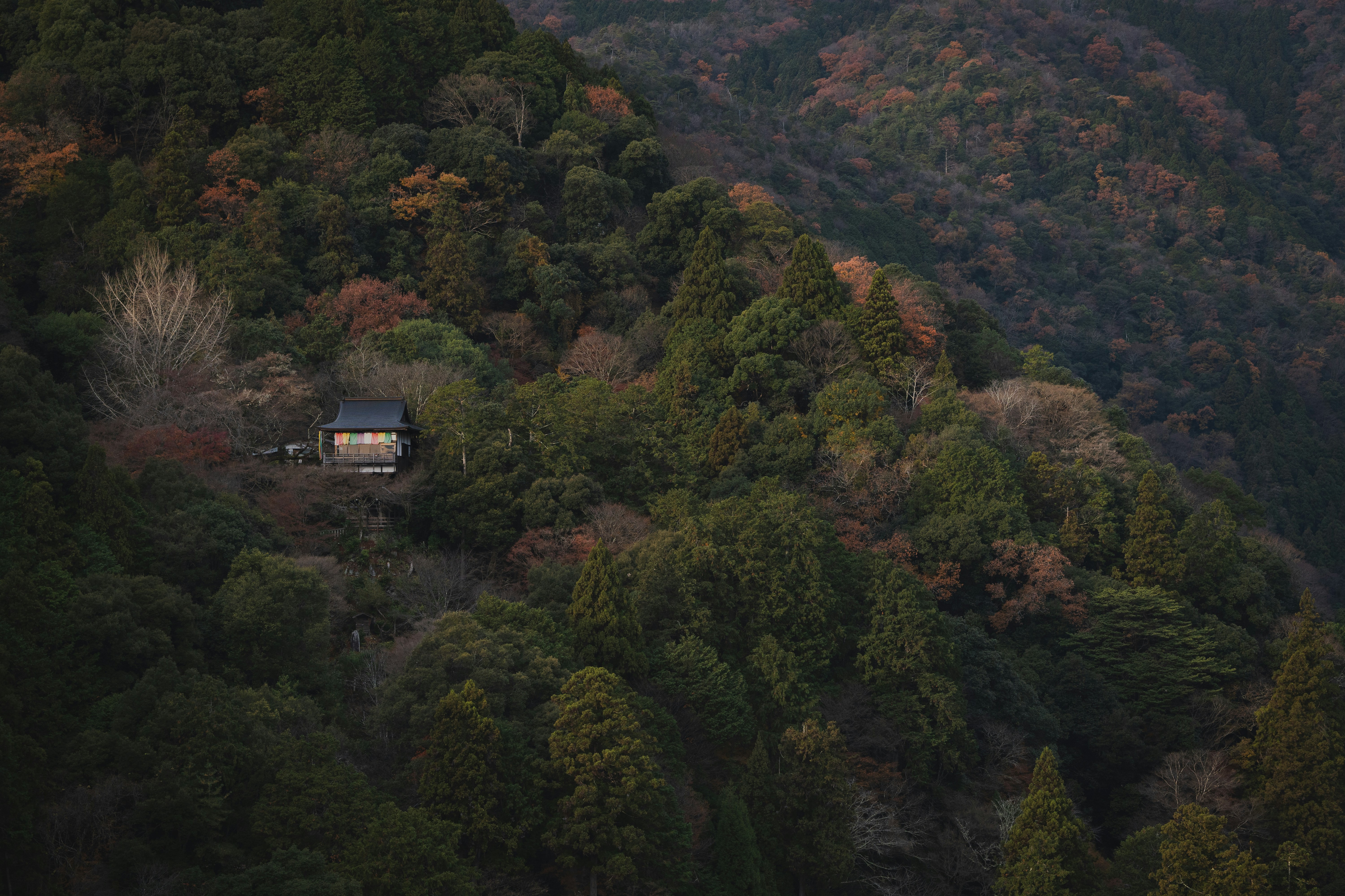 Peaceful Kyoto Countryside Retreat