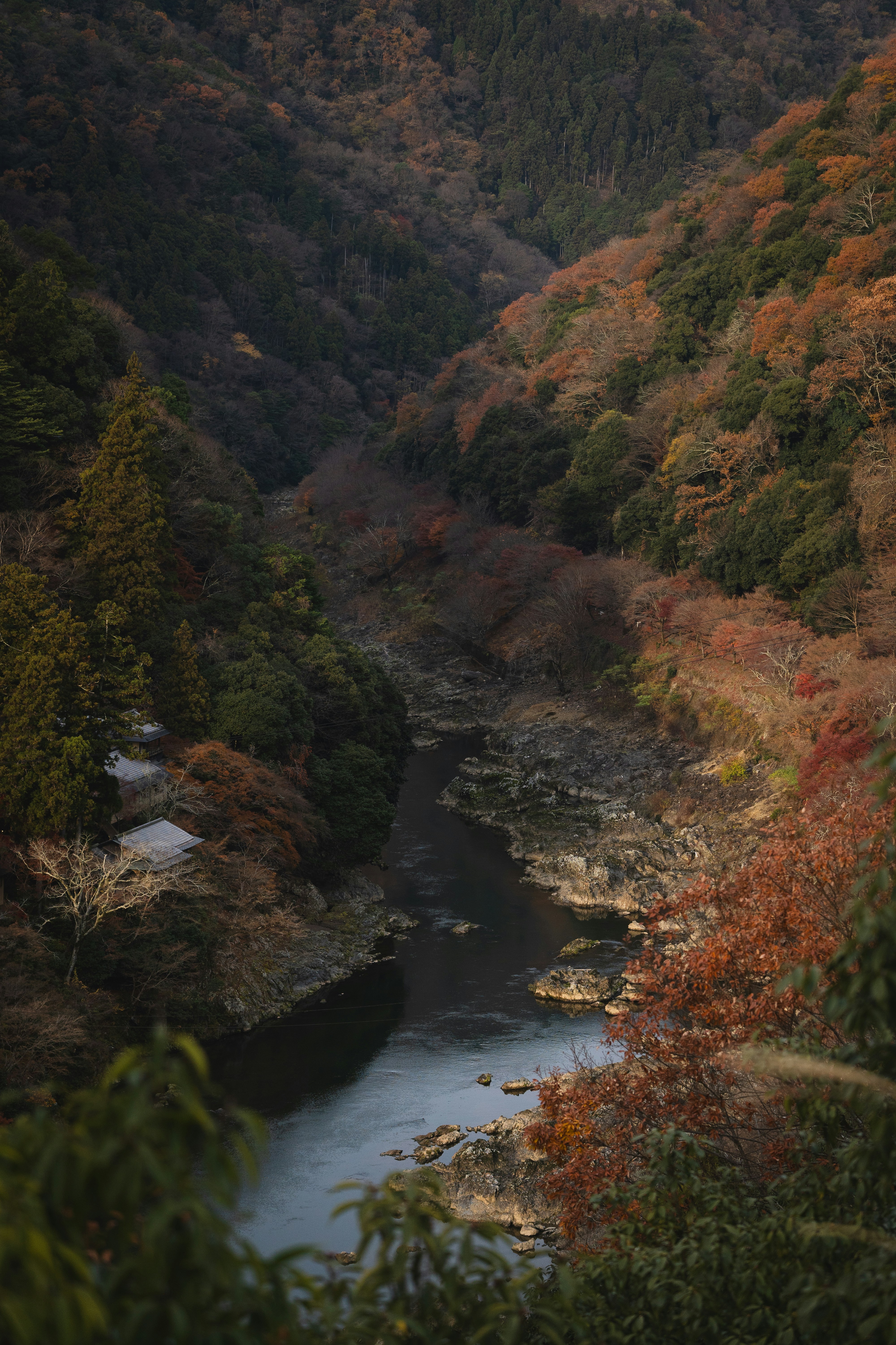 Satoyama landscape rural Japan