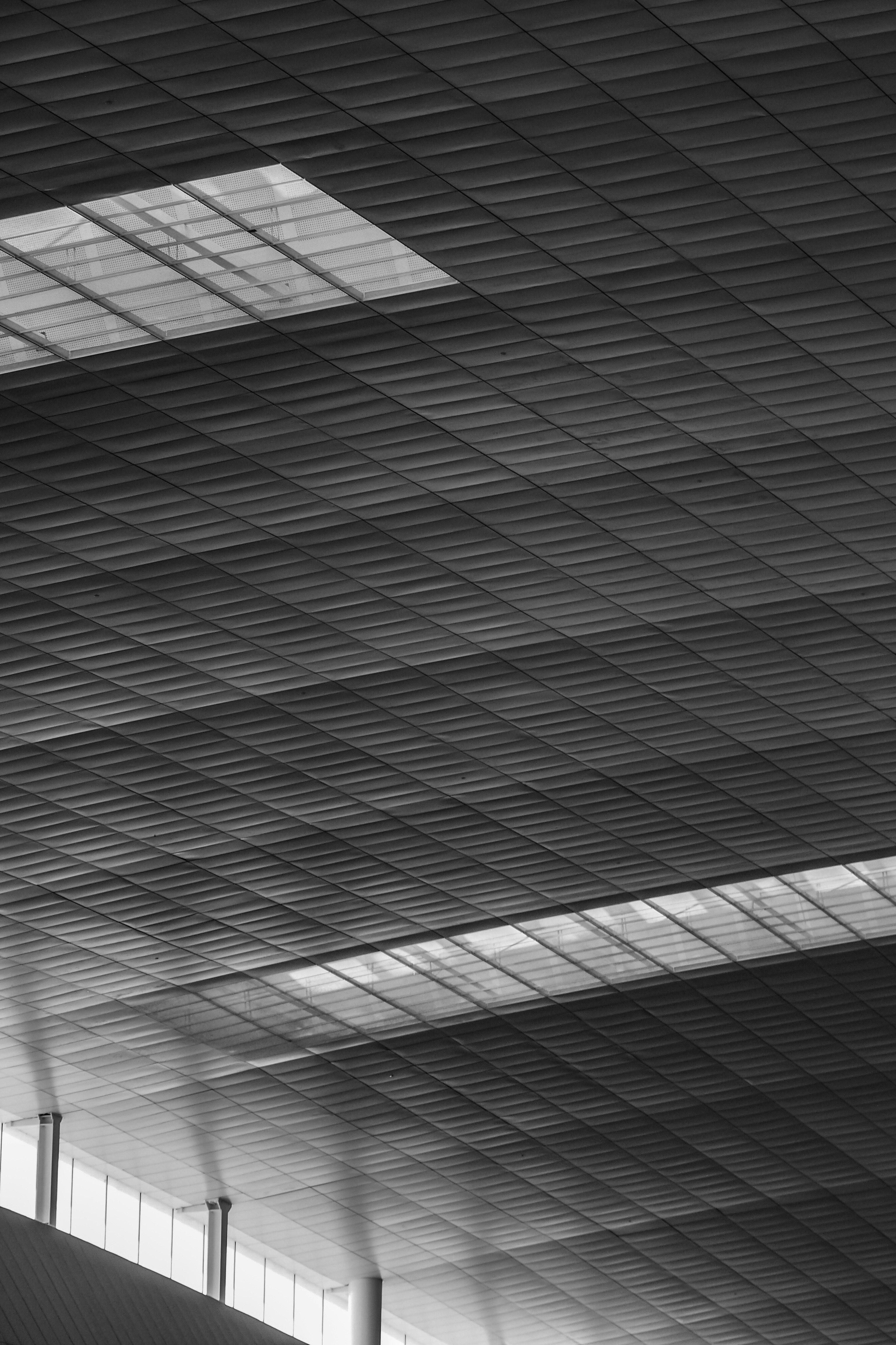 Photo by davidgeneugelijk