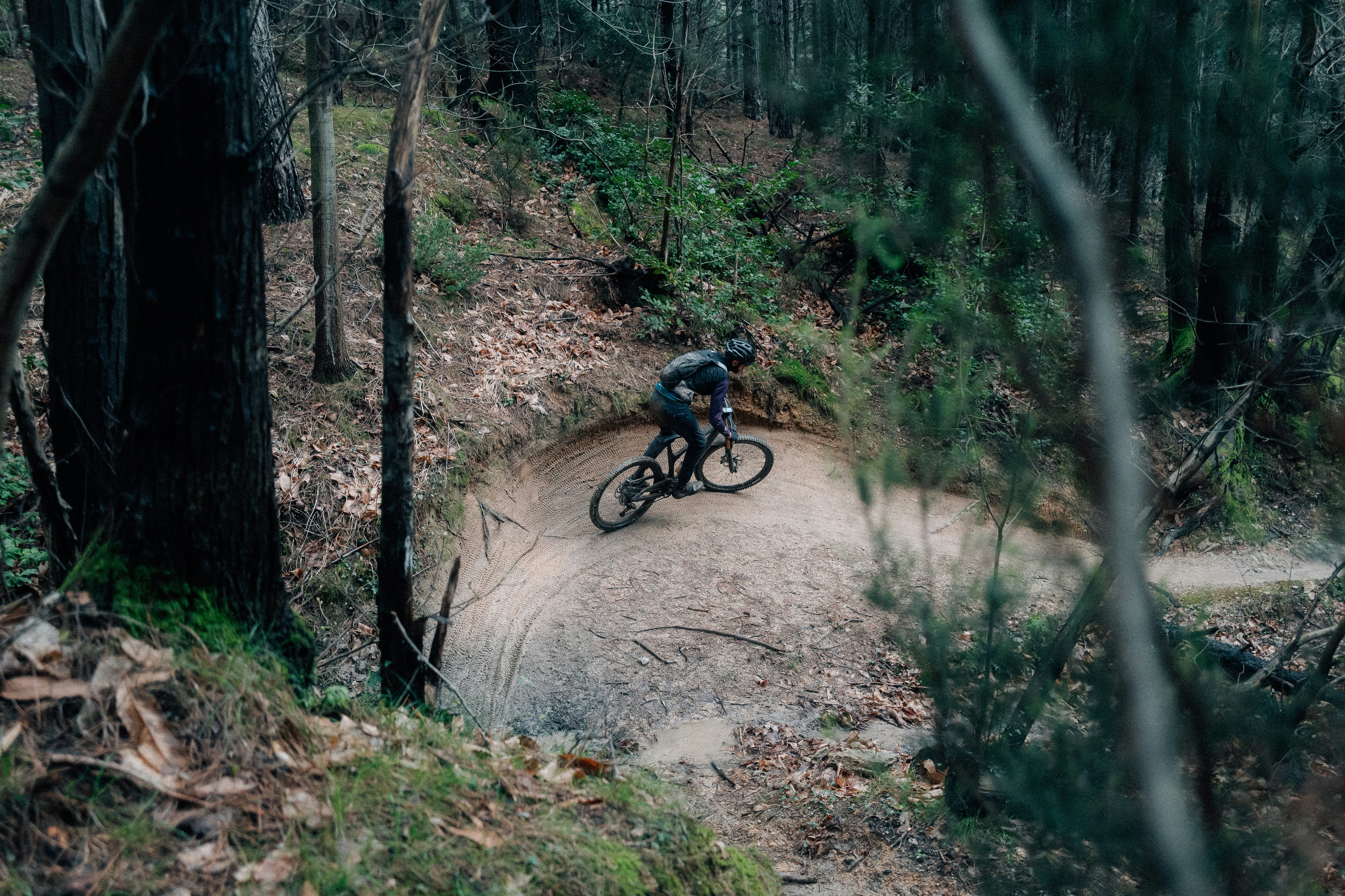Mountain biker navigating a dirt trail in a forest.