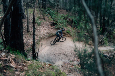 Mountain biker navigating a dirt trail in a forest.