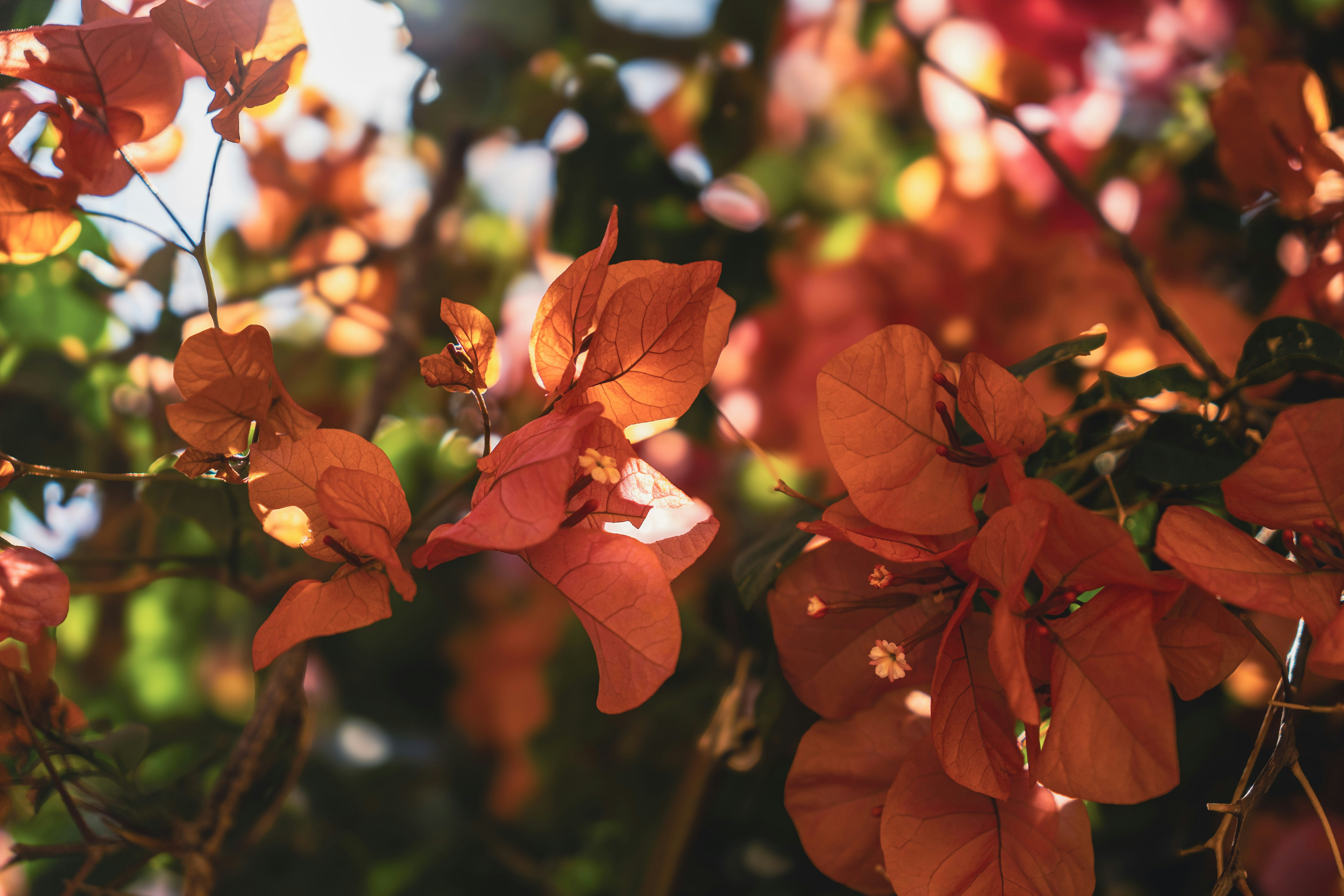 Photo by adrian_staehli