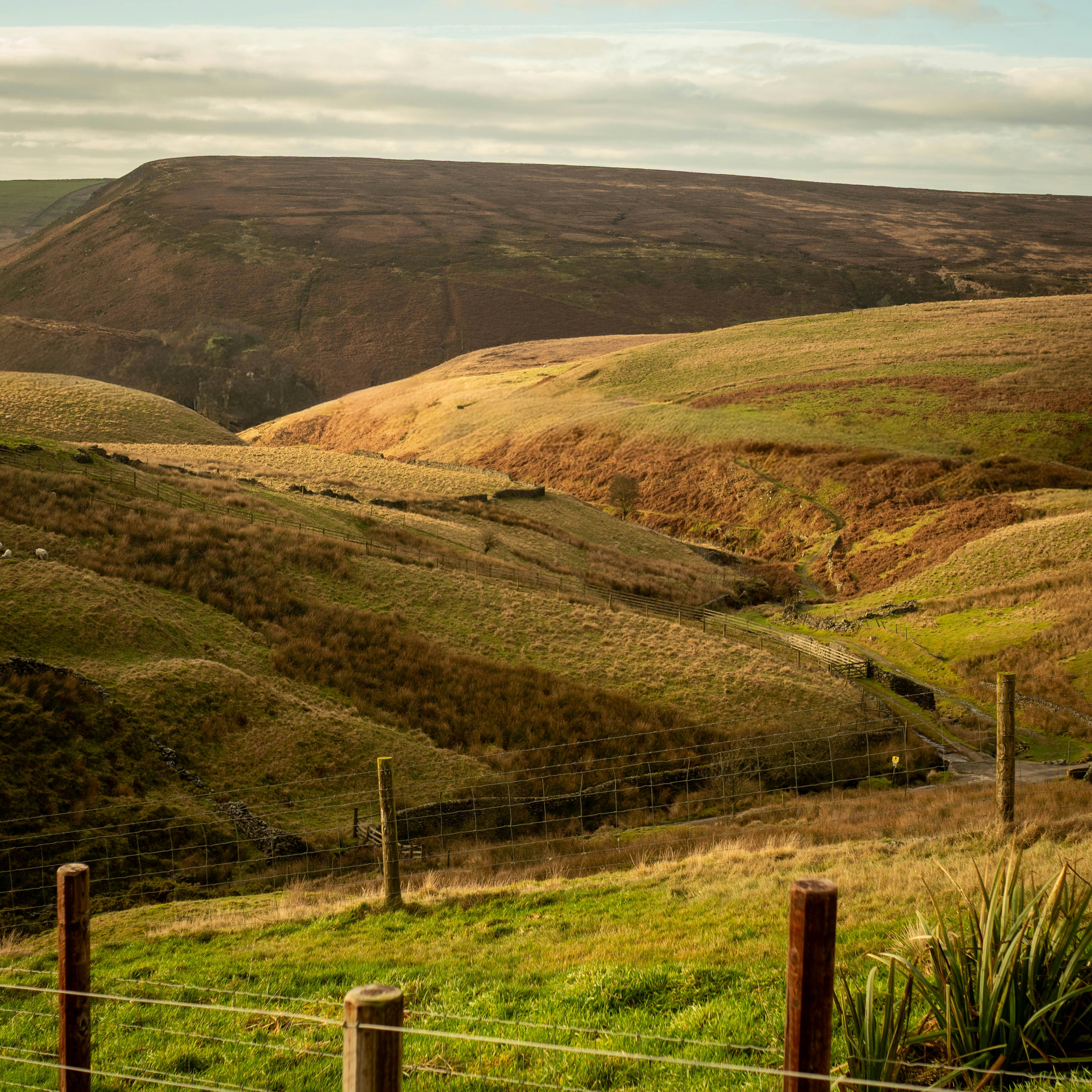 Photo by bengrayland