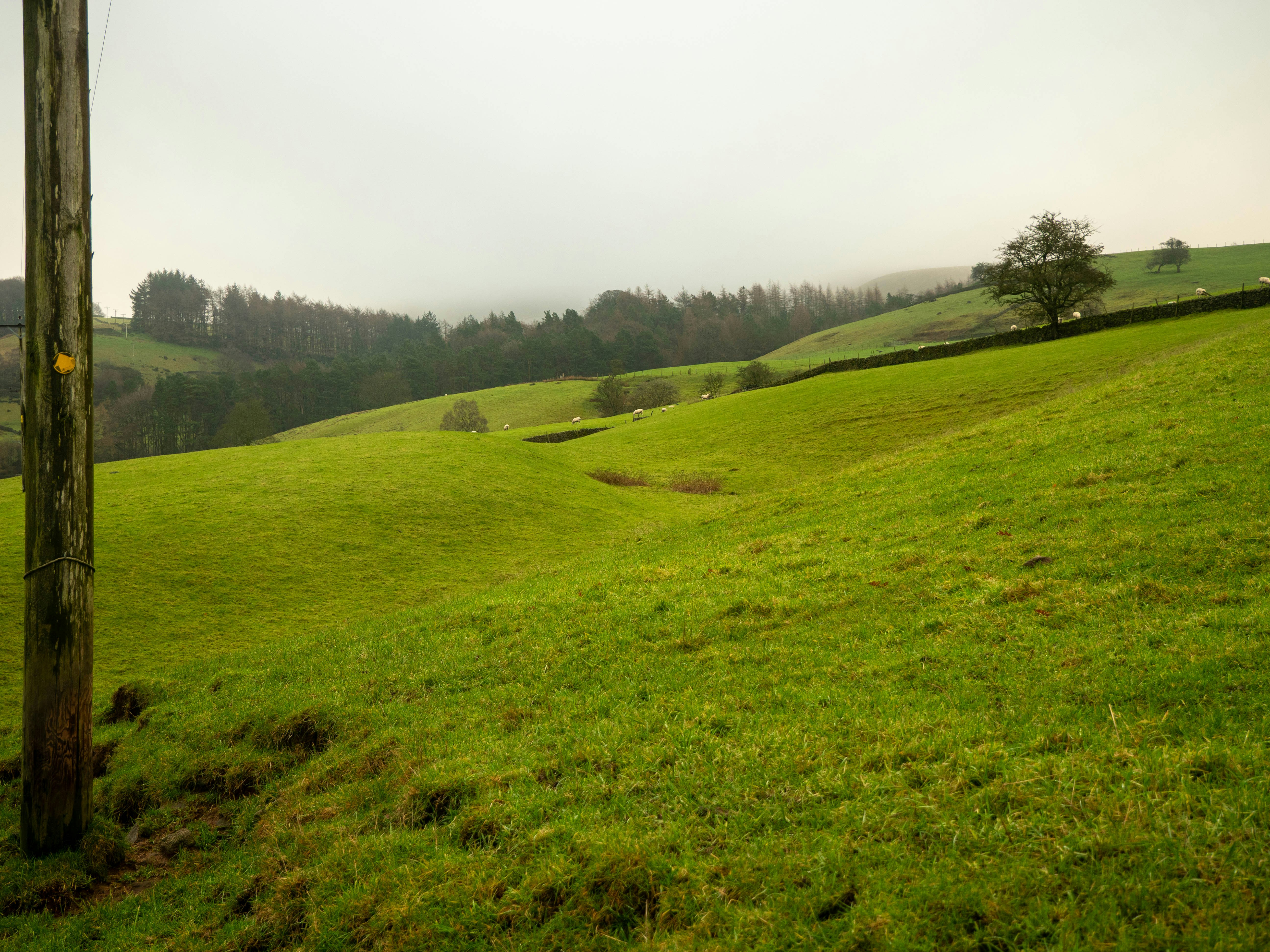 Photo by bengrayland