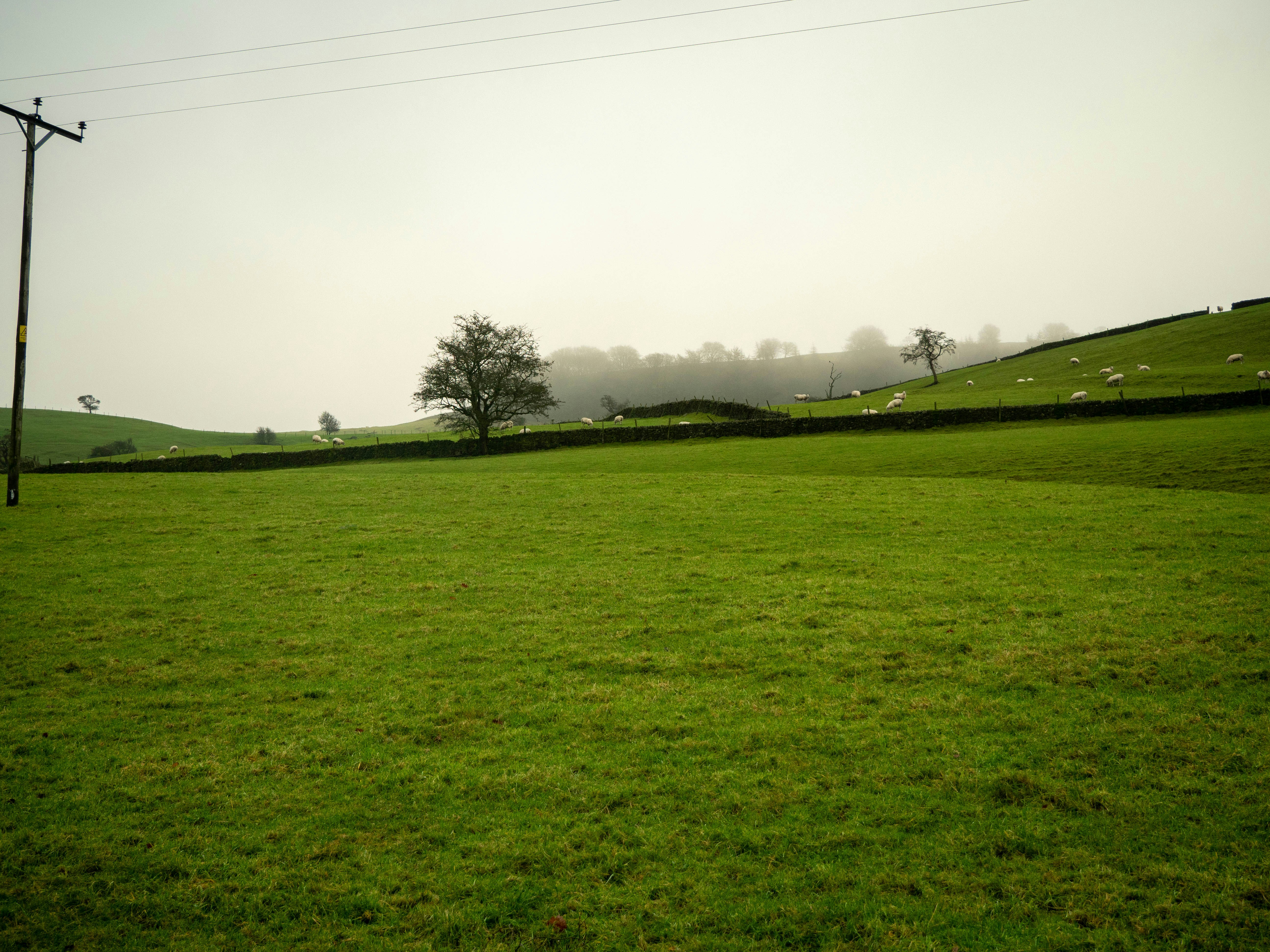 Photo by bengrayland