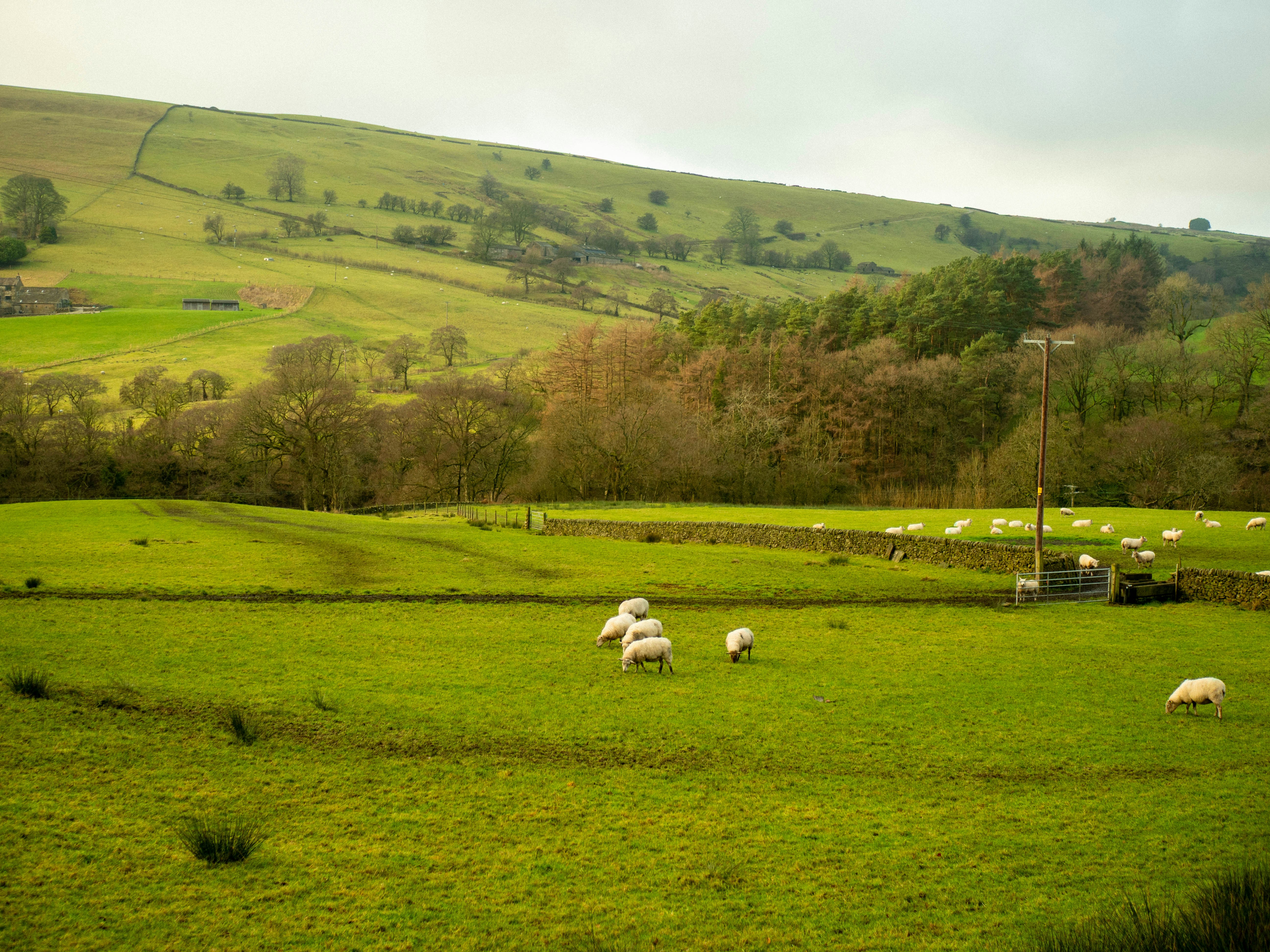 Photo by bengrayland