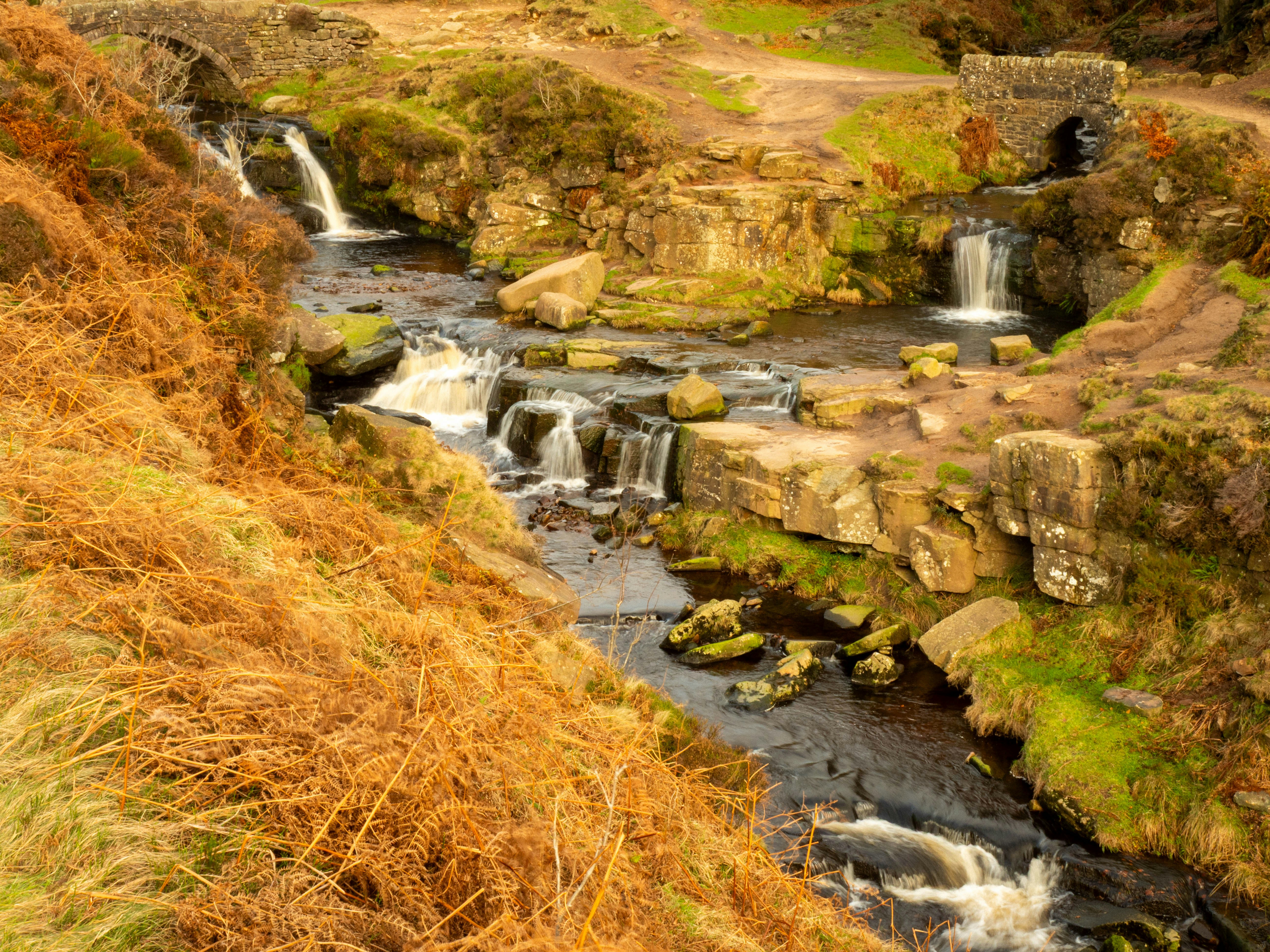 Photo by bengrayland