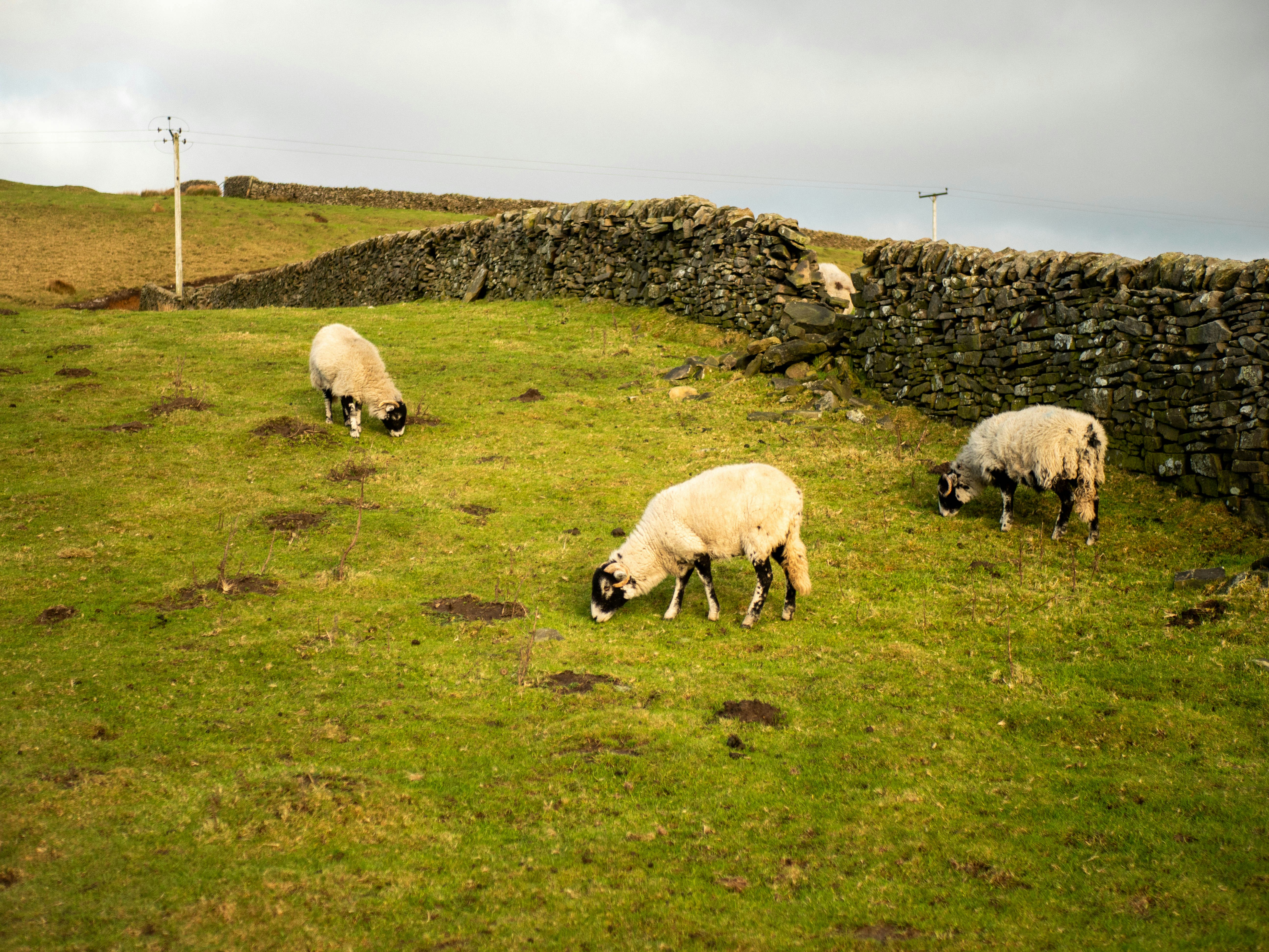 Photo by bengrayland