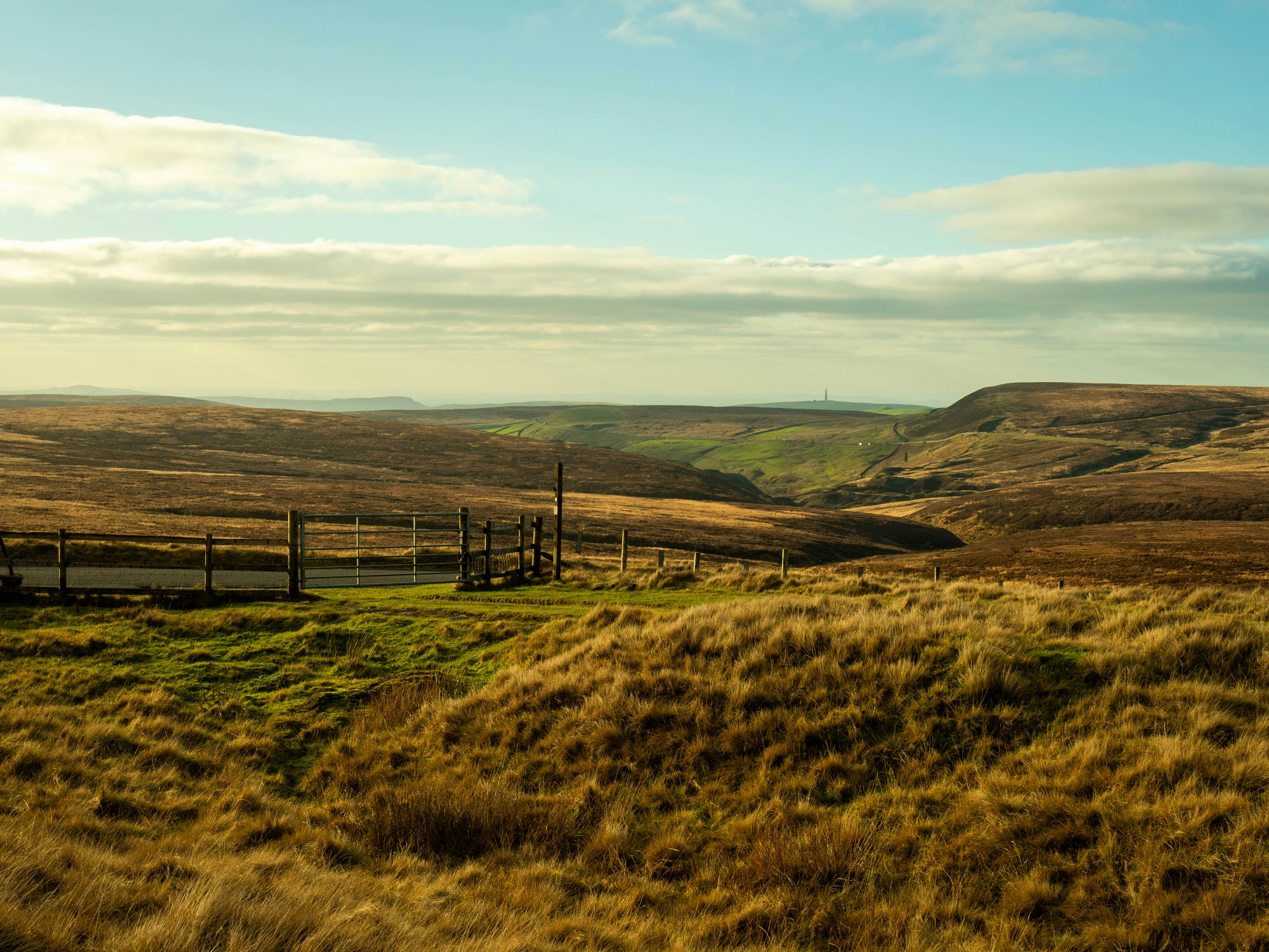 Photo by bengrayland