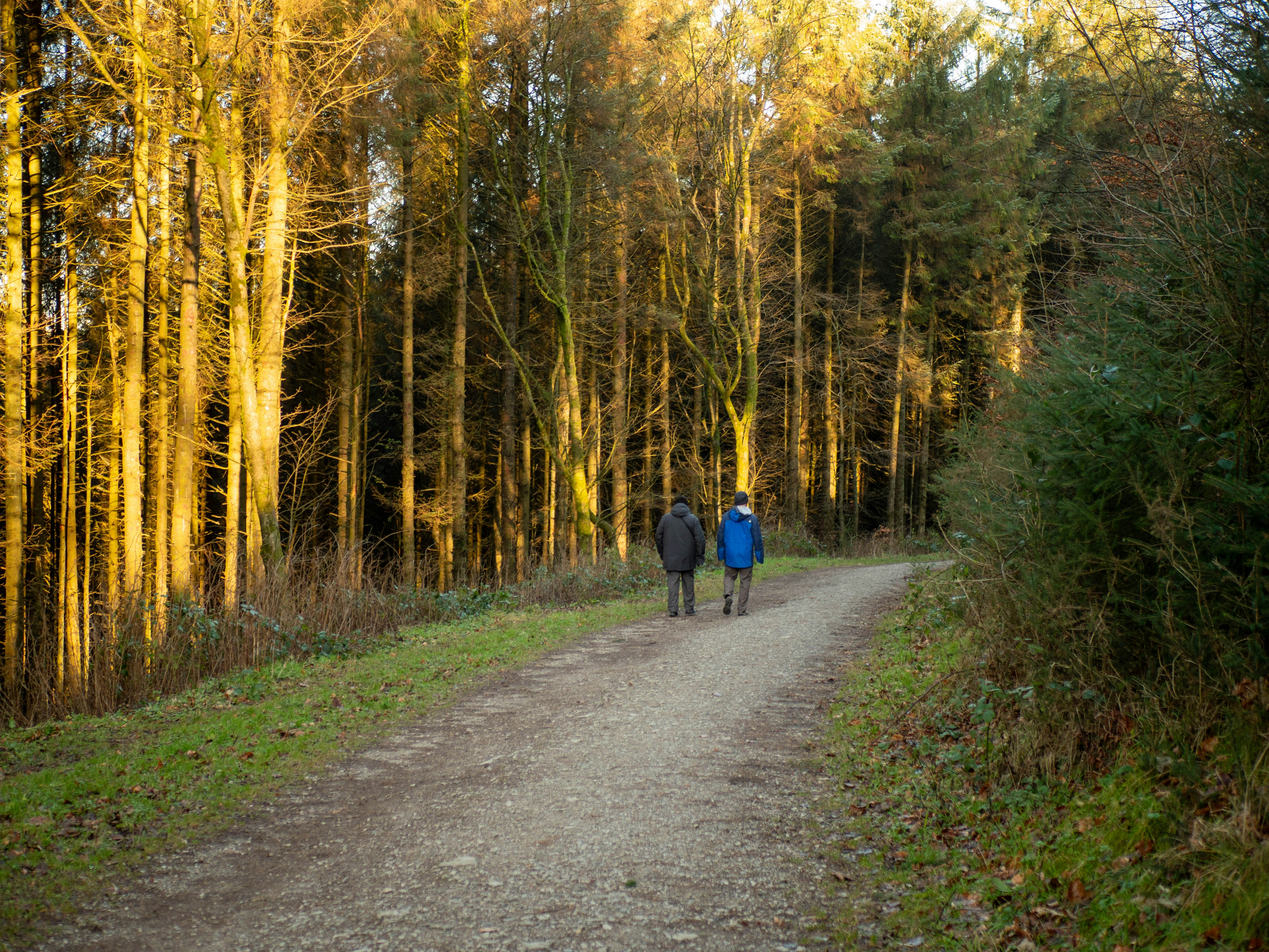 Photo by bengrayland