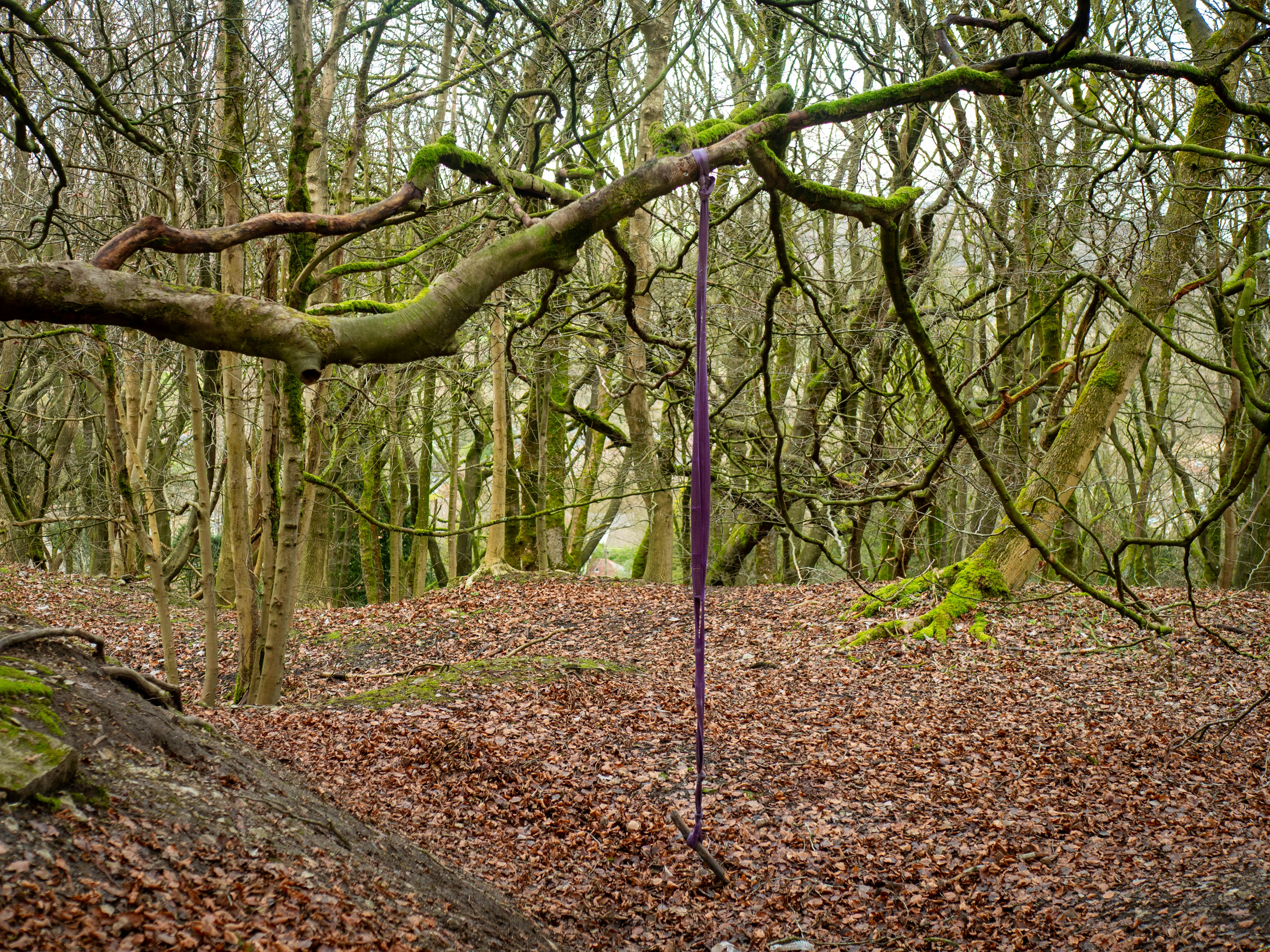 Photo by bengrayland