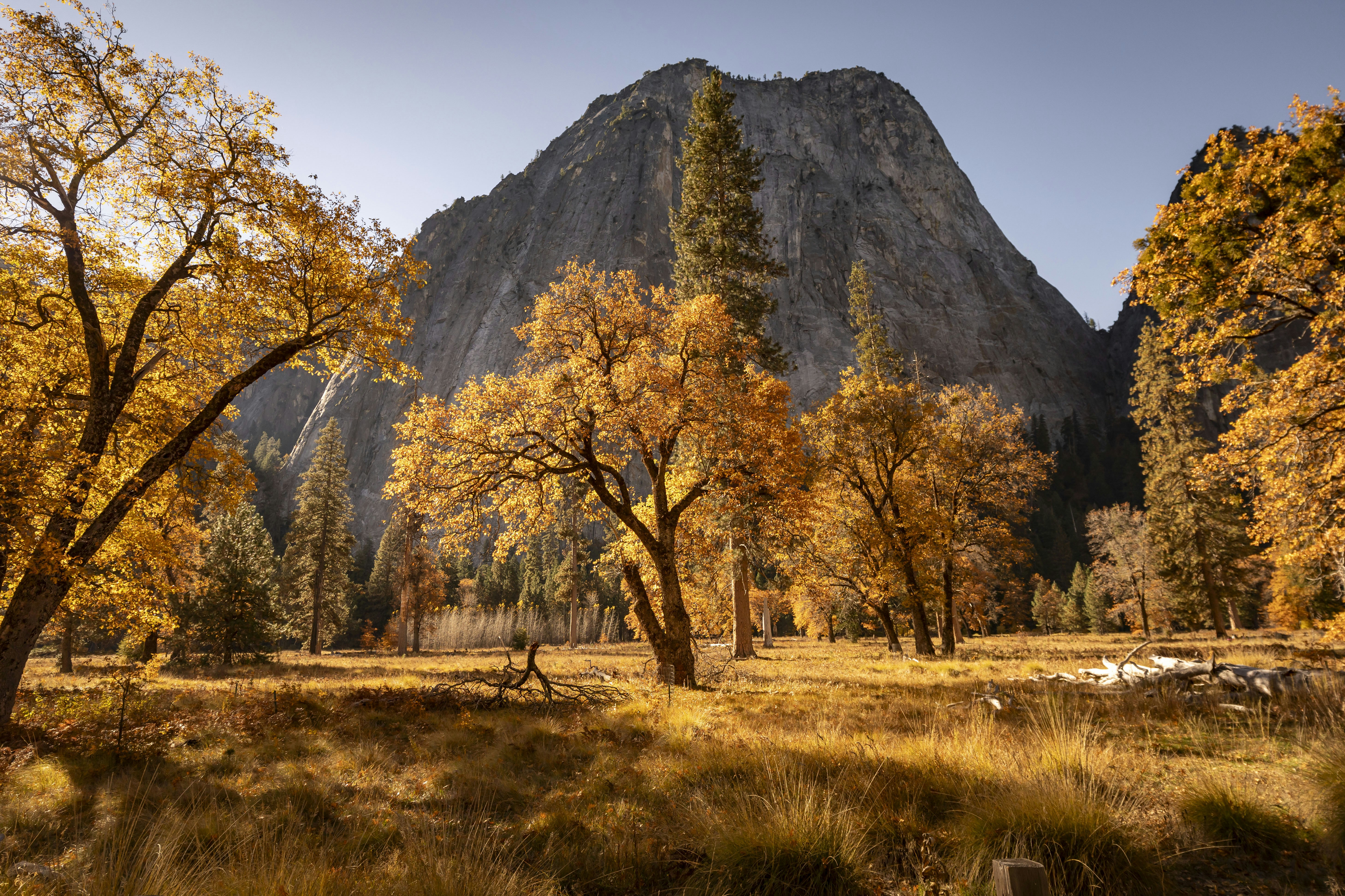 Photo by leo_visions_