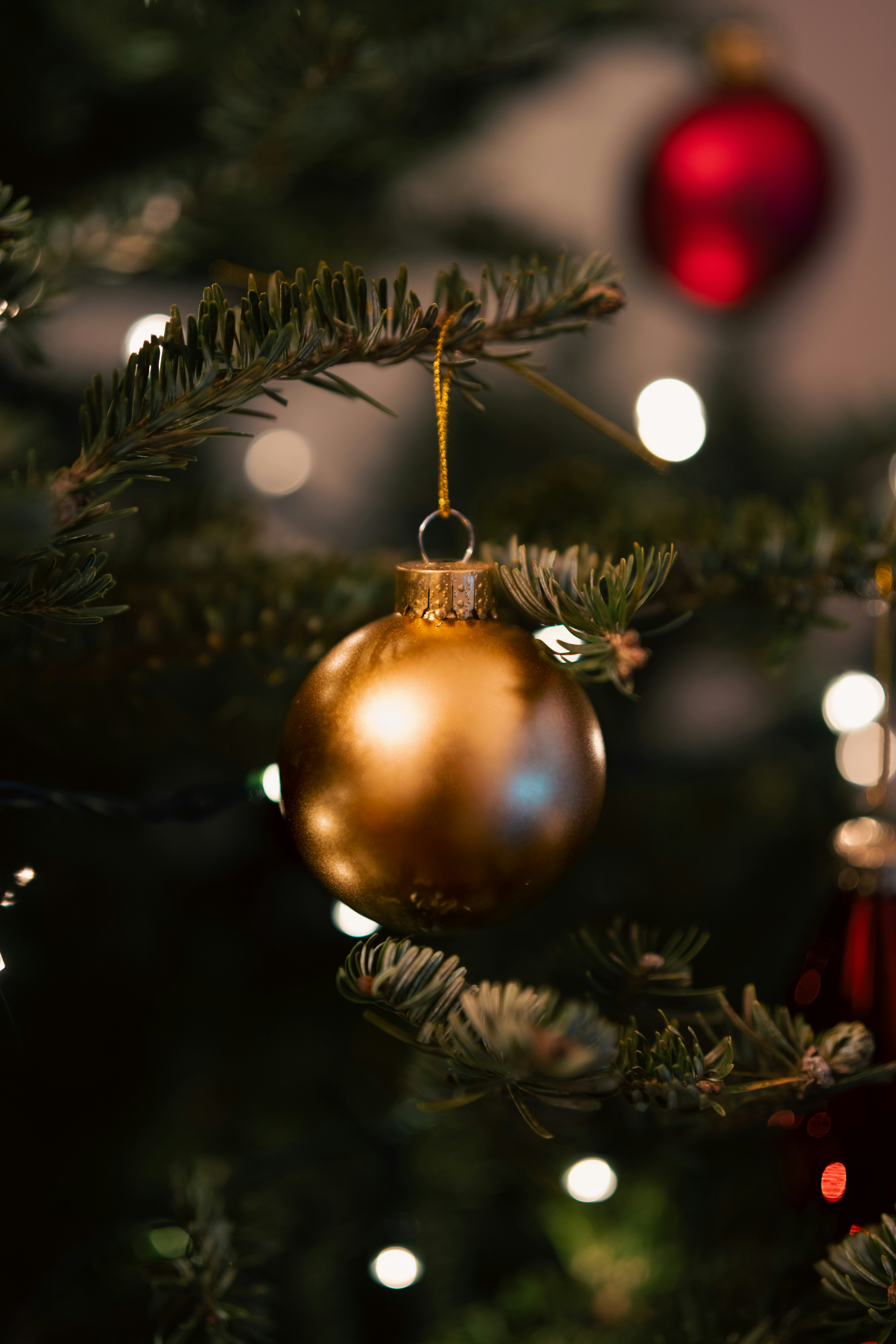 Décorations Photo Pour Sapin De Noël, Photo Souvenir, Breloque à Suspendre Pour Le Souvenir De Noël. Boule De Noël Suspendue. Photos De Famille. - France