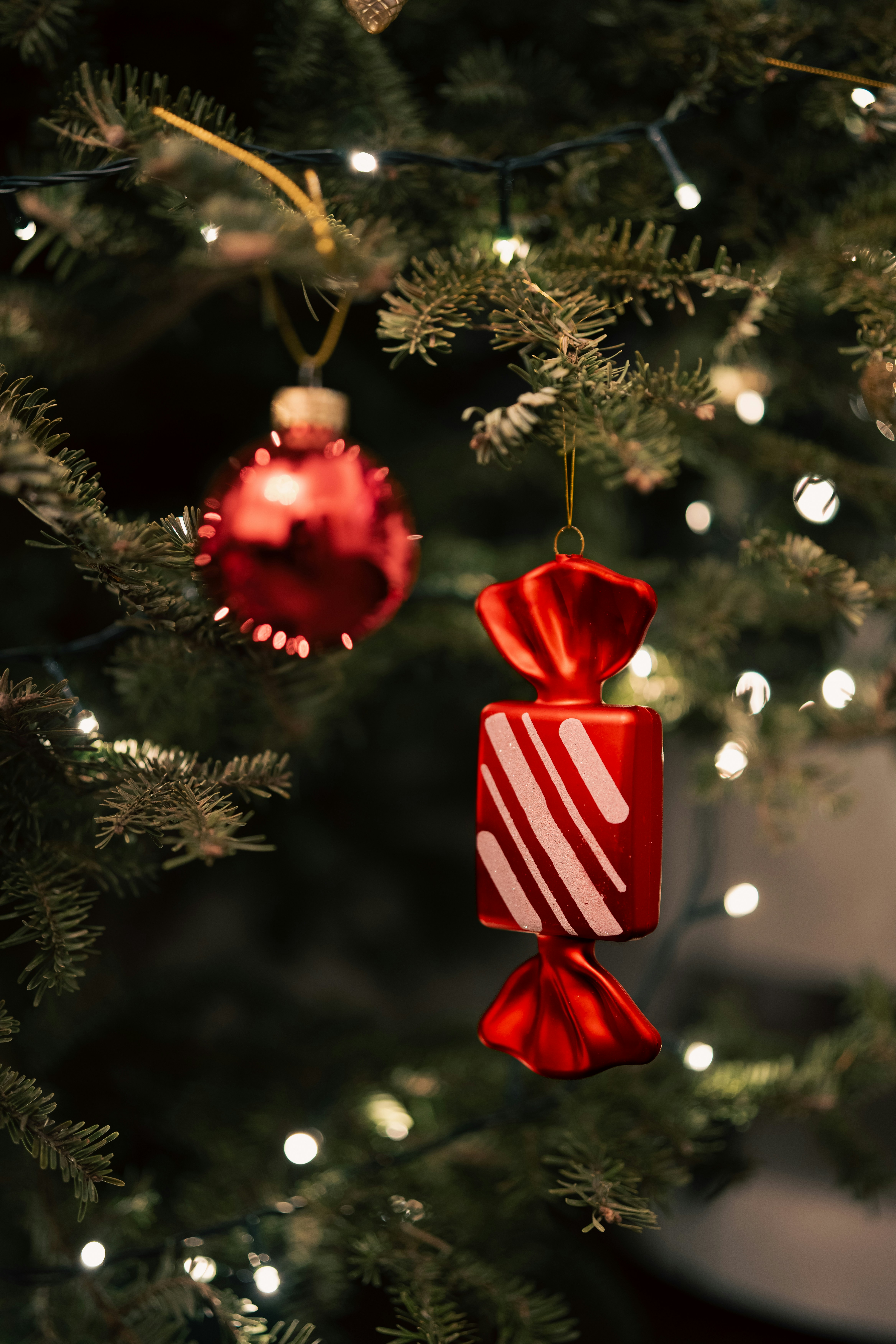 Photo by nurlanisazade