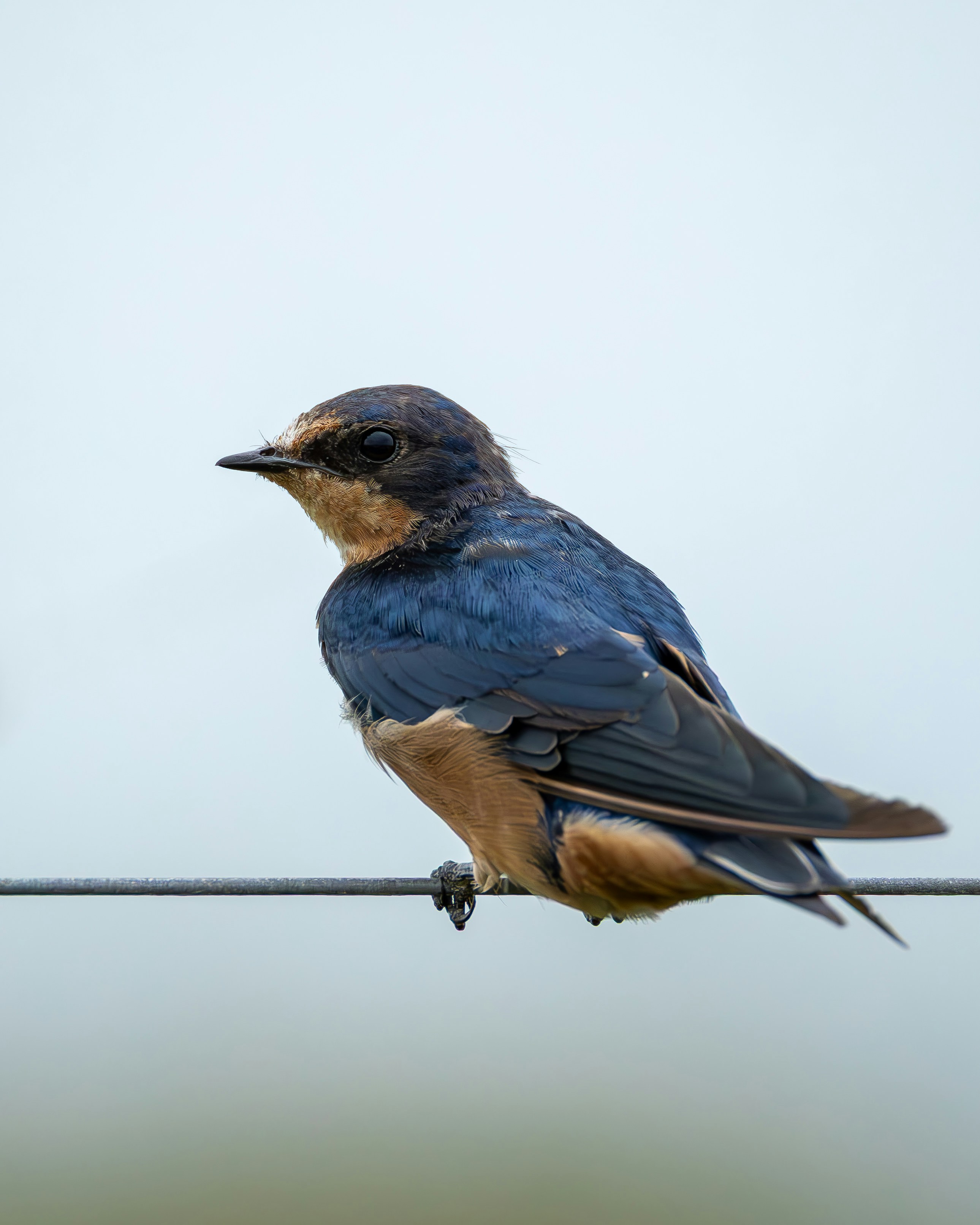 Photo by matheuskprot