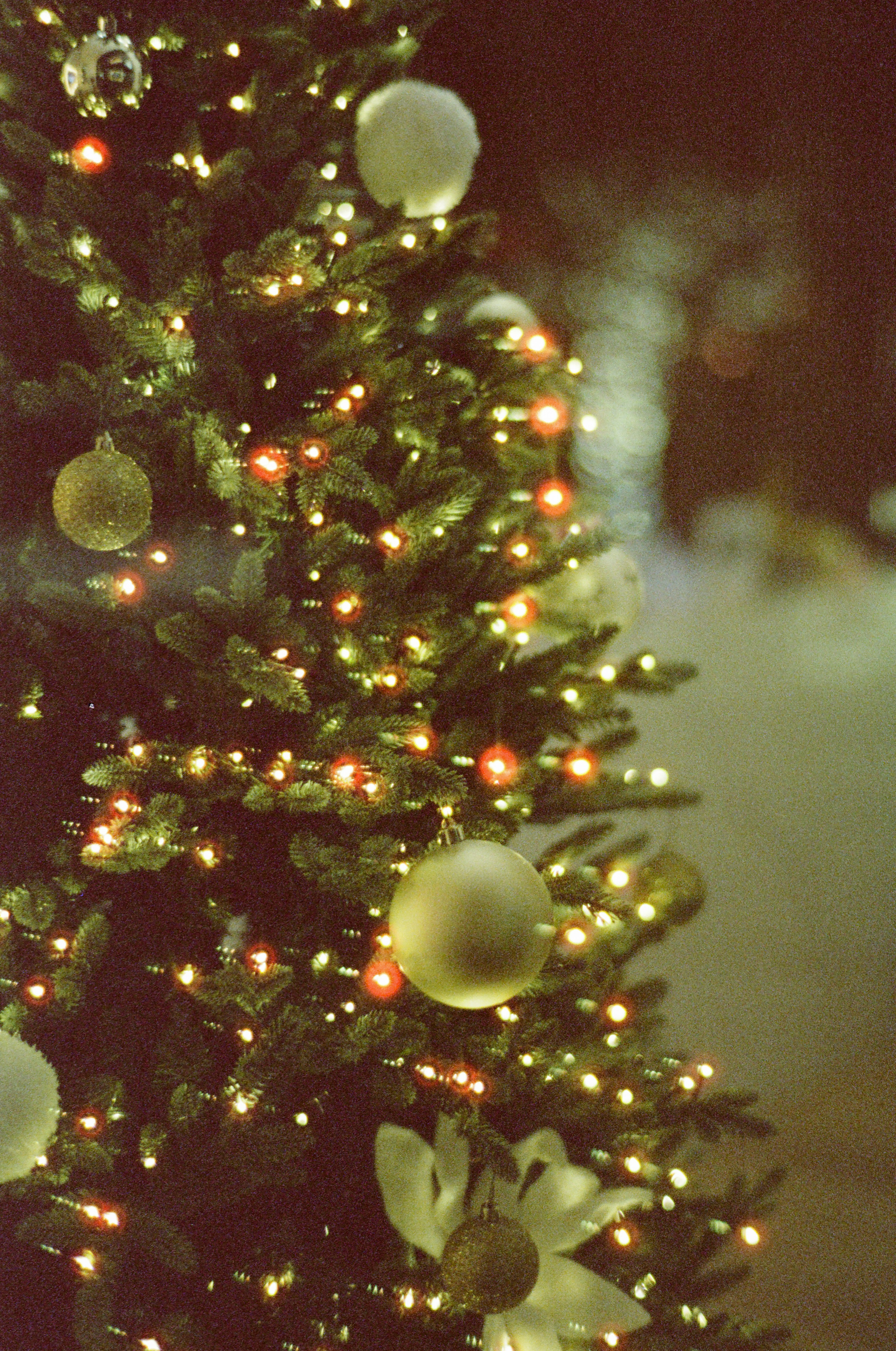 A decorated christmas tree with glowing lights