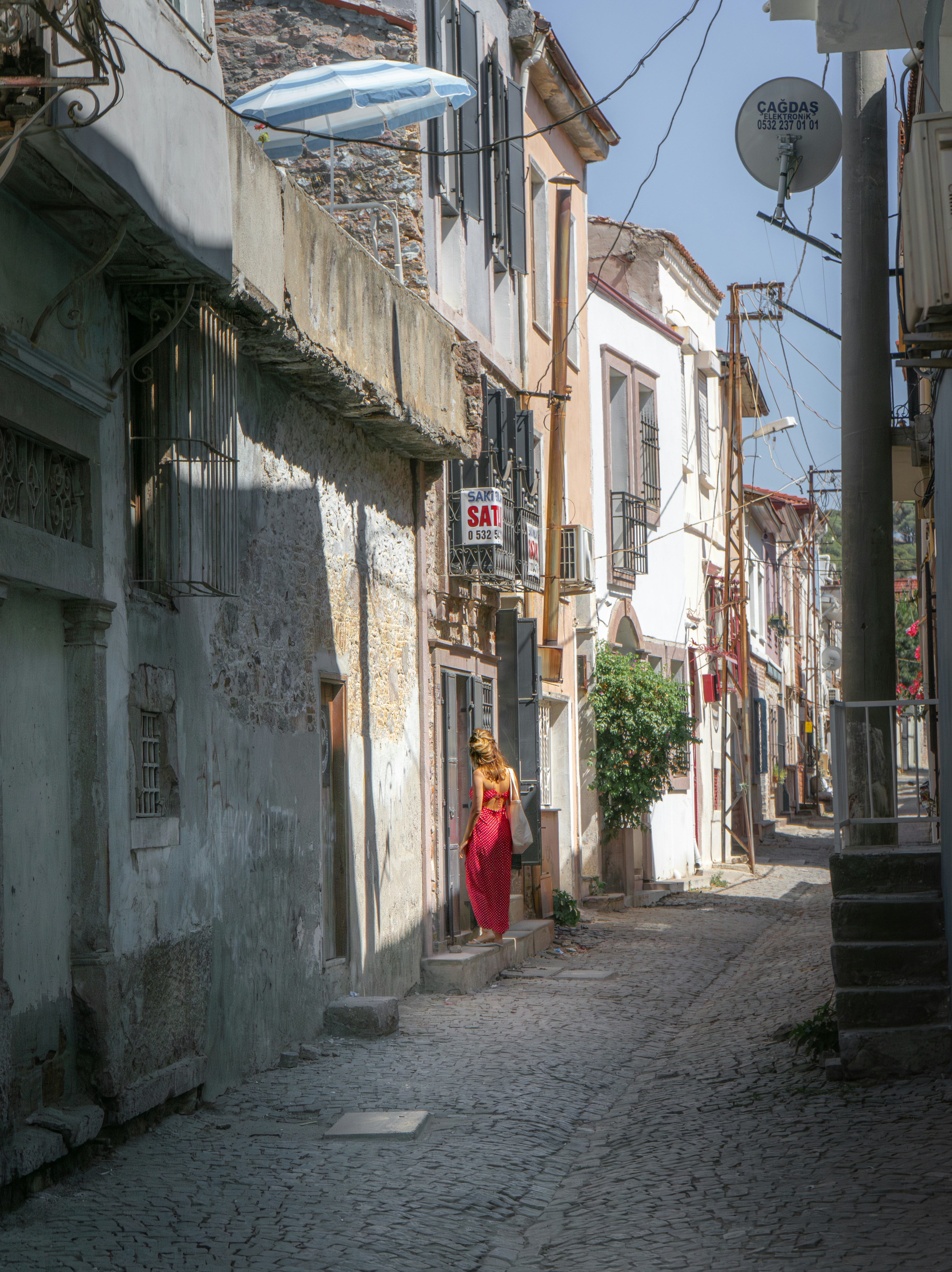 Photo by jamessestric