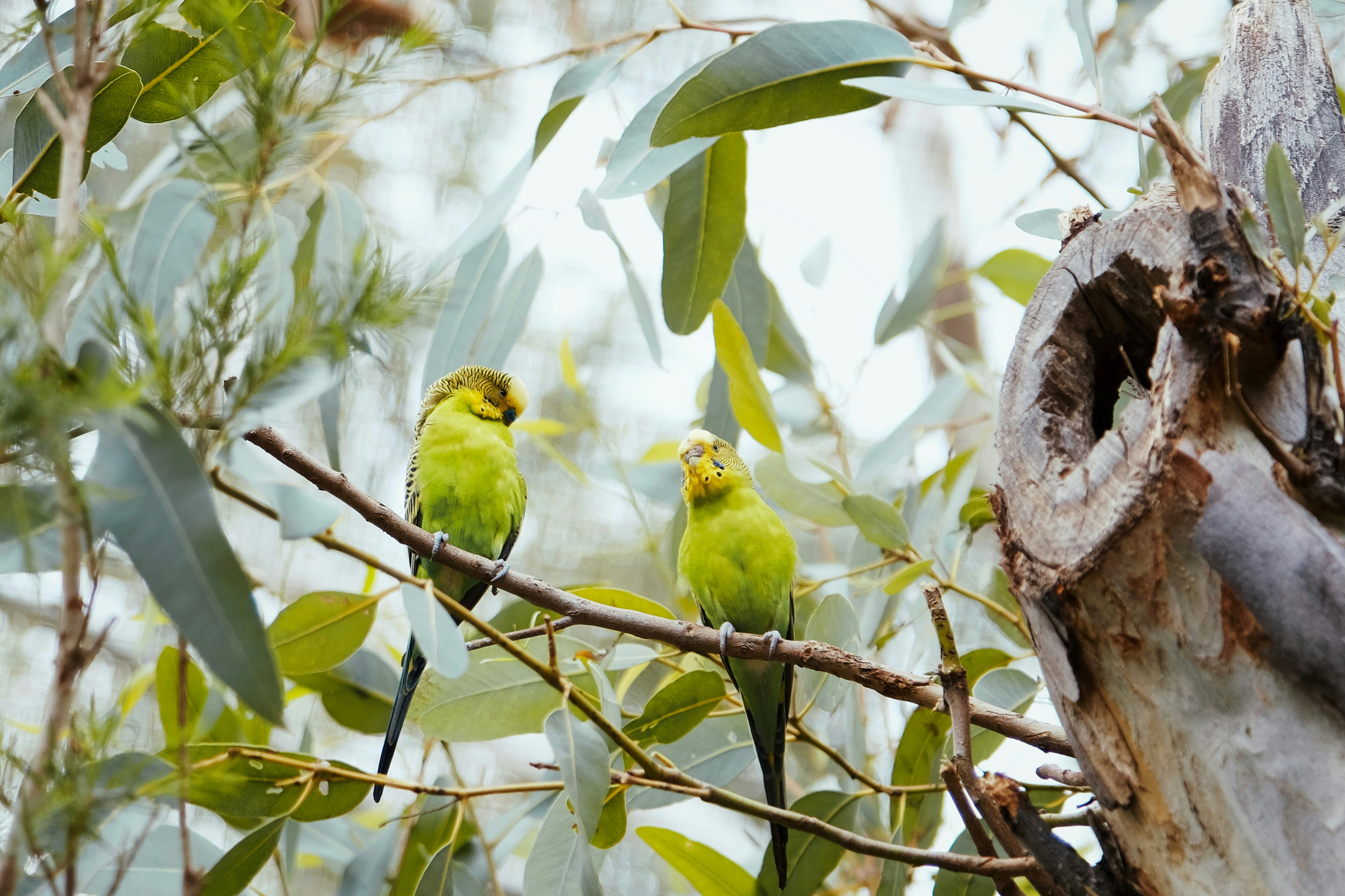 Photo by loubarross888