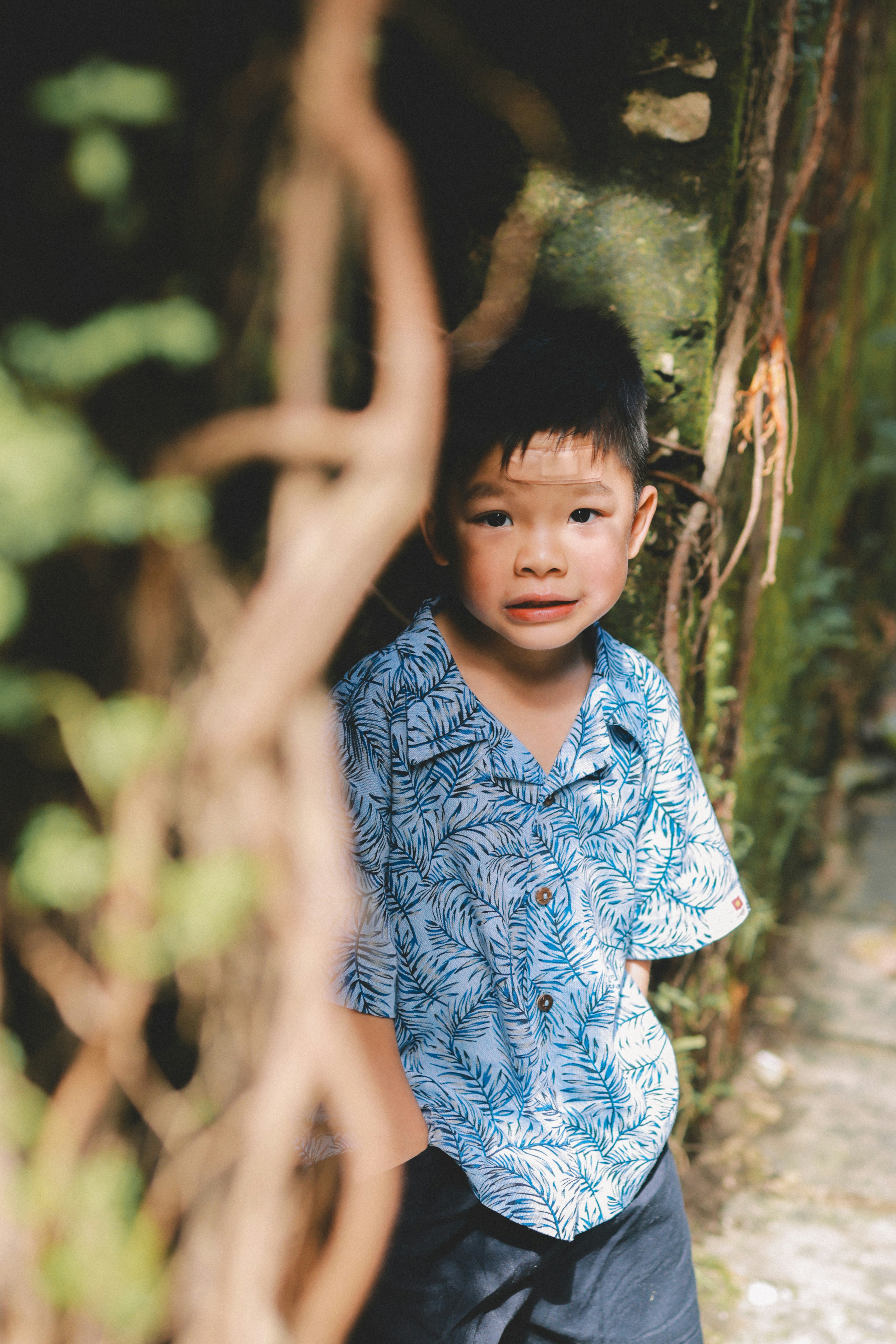 Photo by hoianphotographer