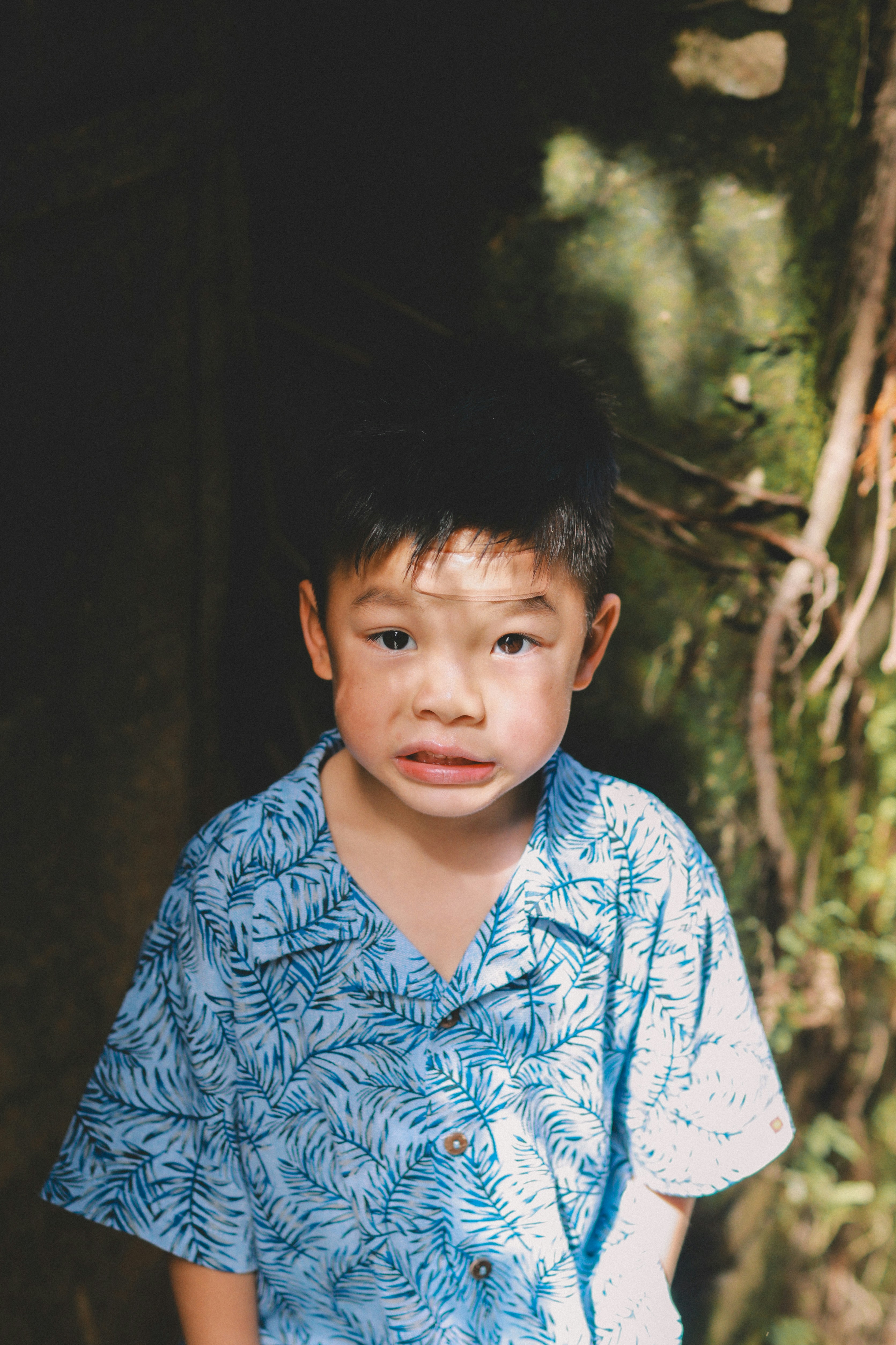 Photo by hoianphotographer