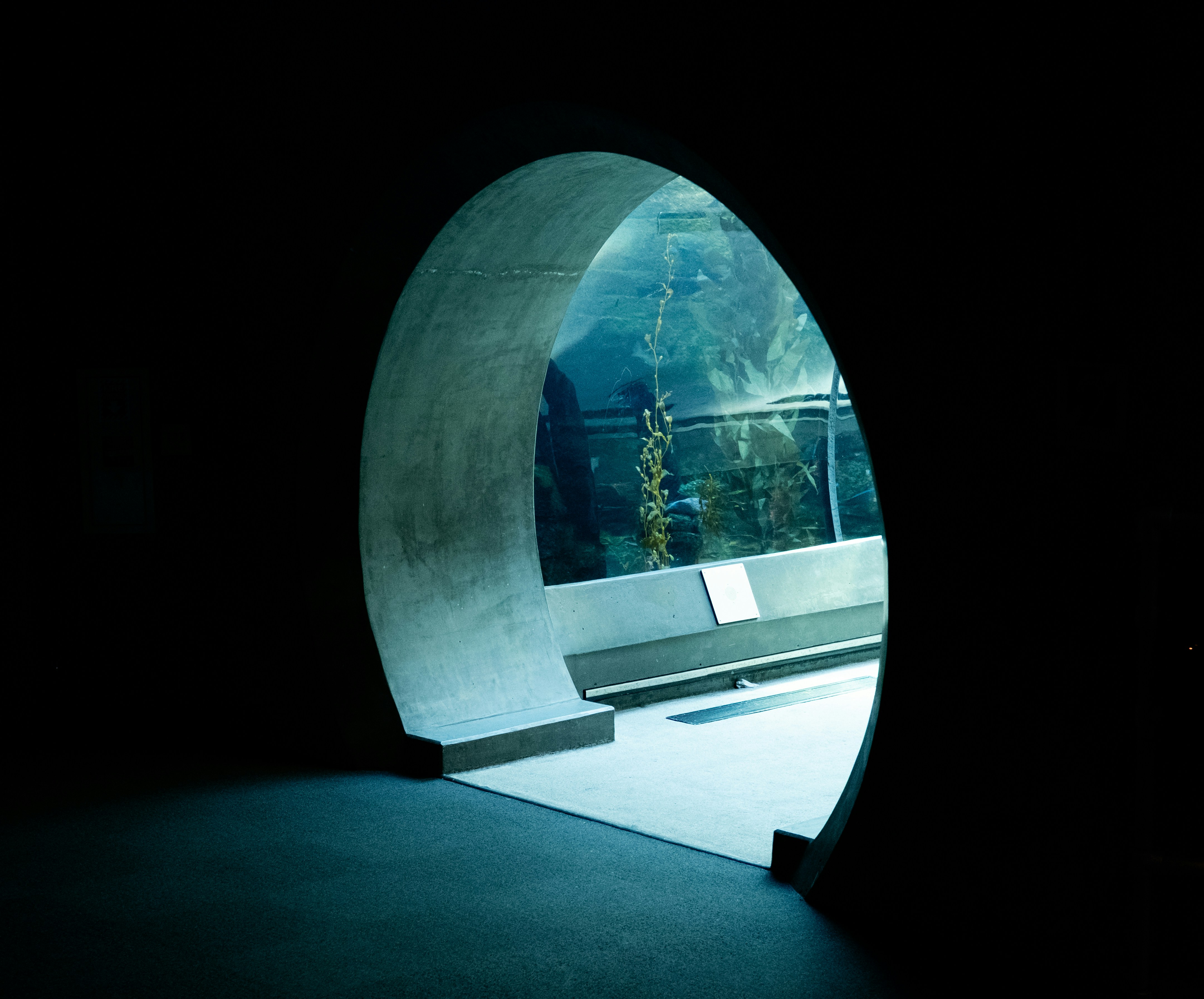 underwater tunnel wallpaper, wallpaper, Underwater Tunnel: Exploring Submerged Roadways 2