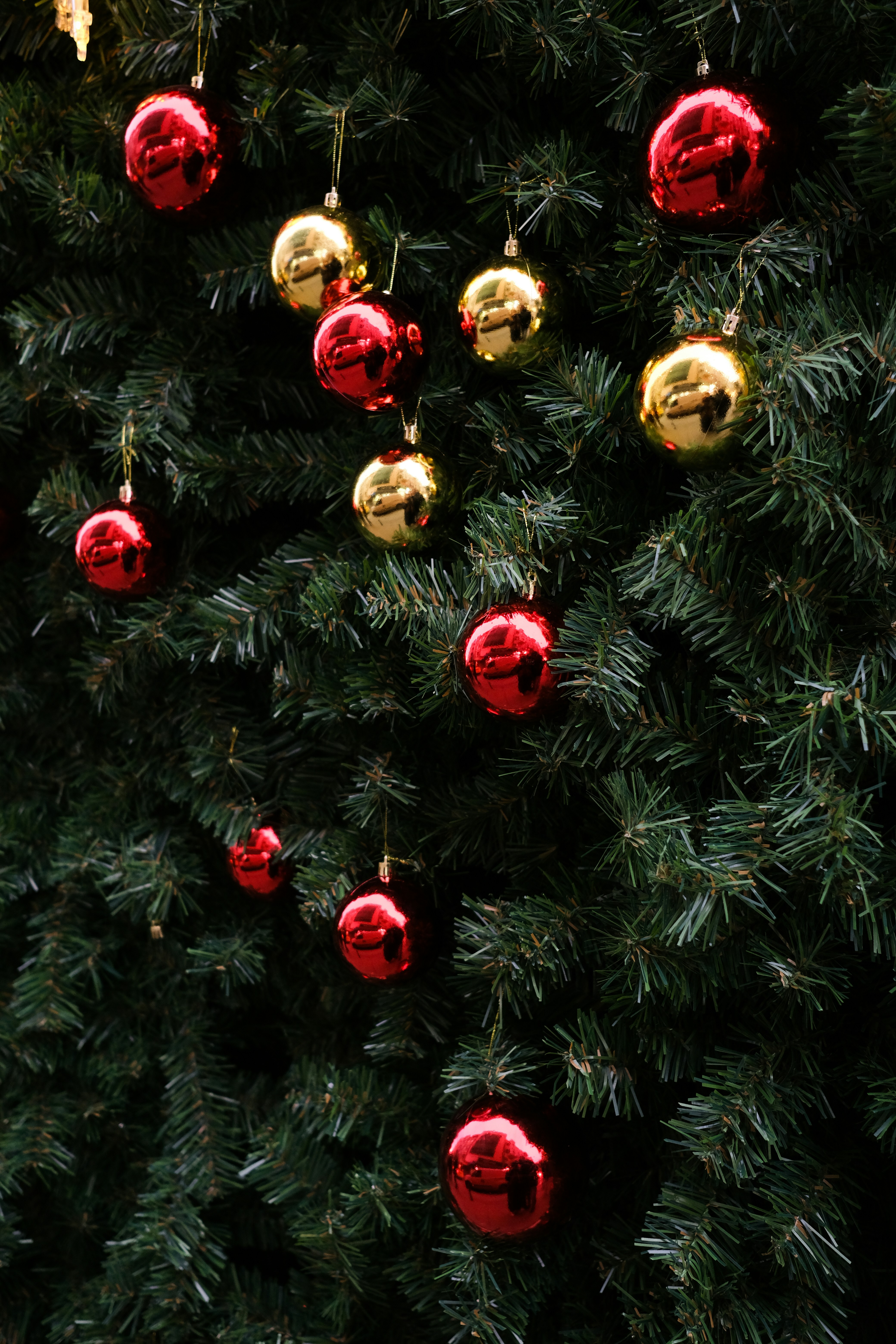 Red and gold ornaments on a christmas tree