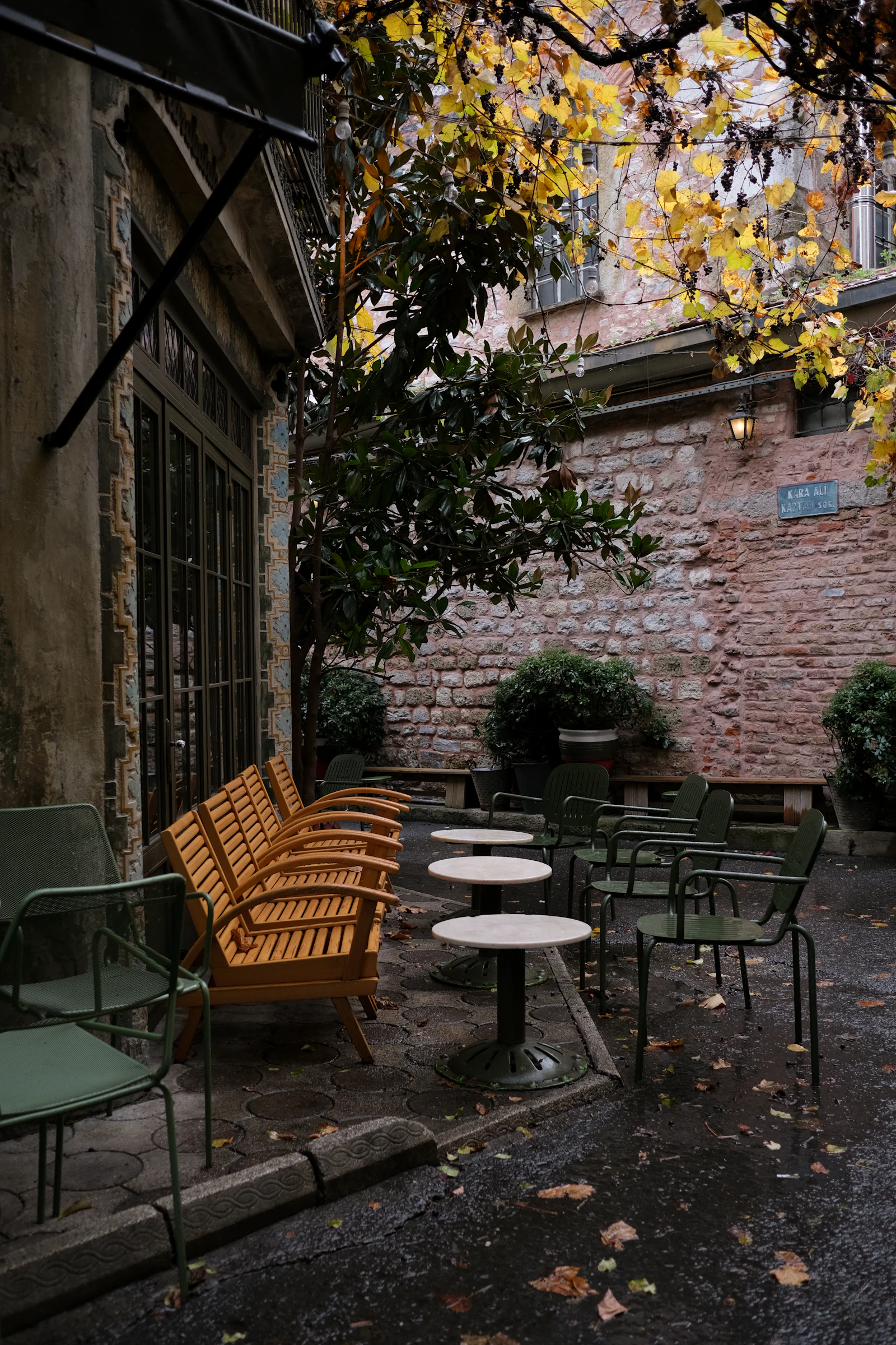 A peaceful outdoor terrace with fall foliage — the kind of view you only get when the crowds have gone home
