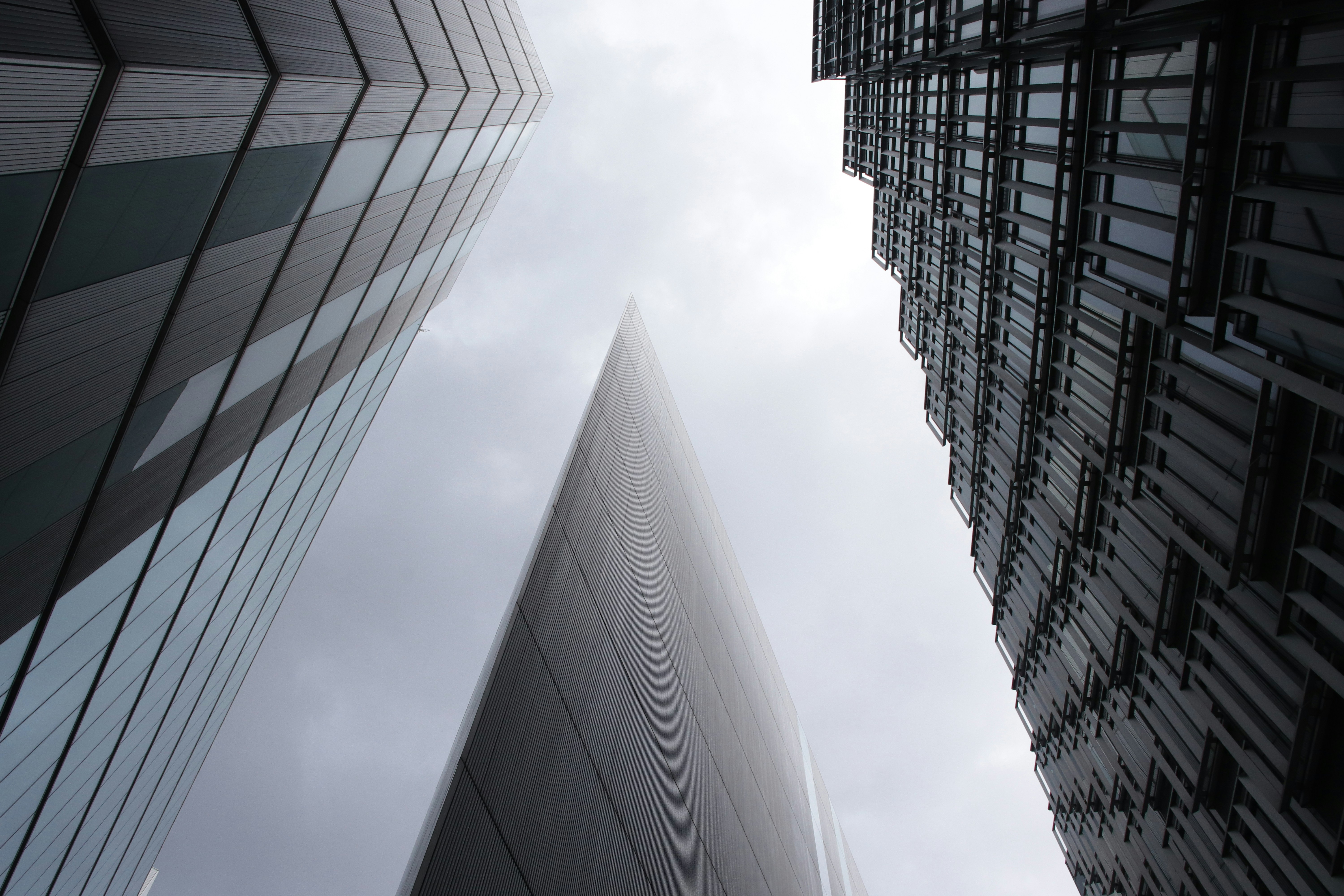 Photo by julianamayo