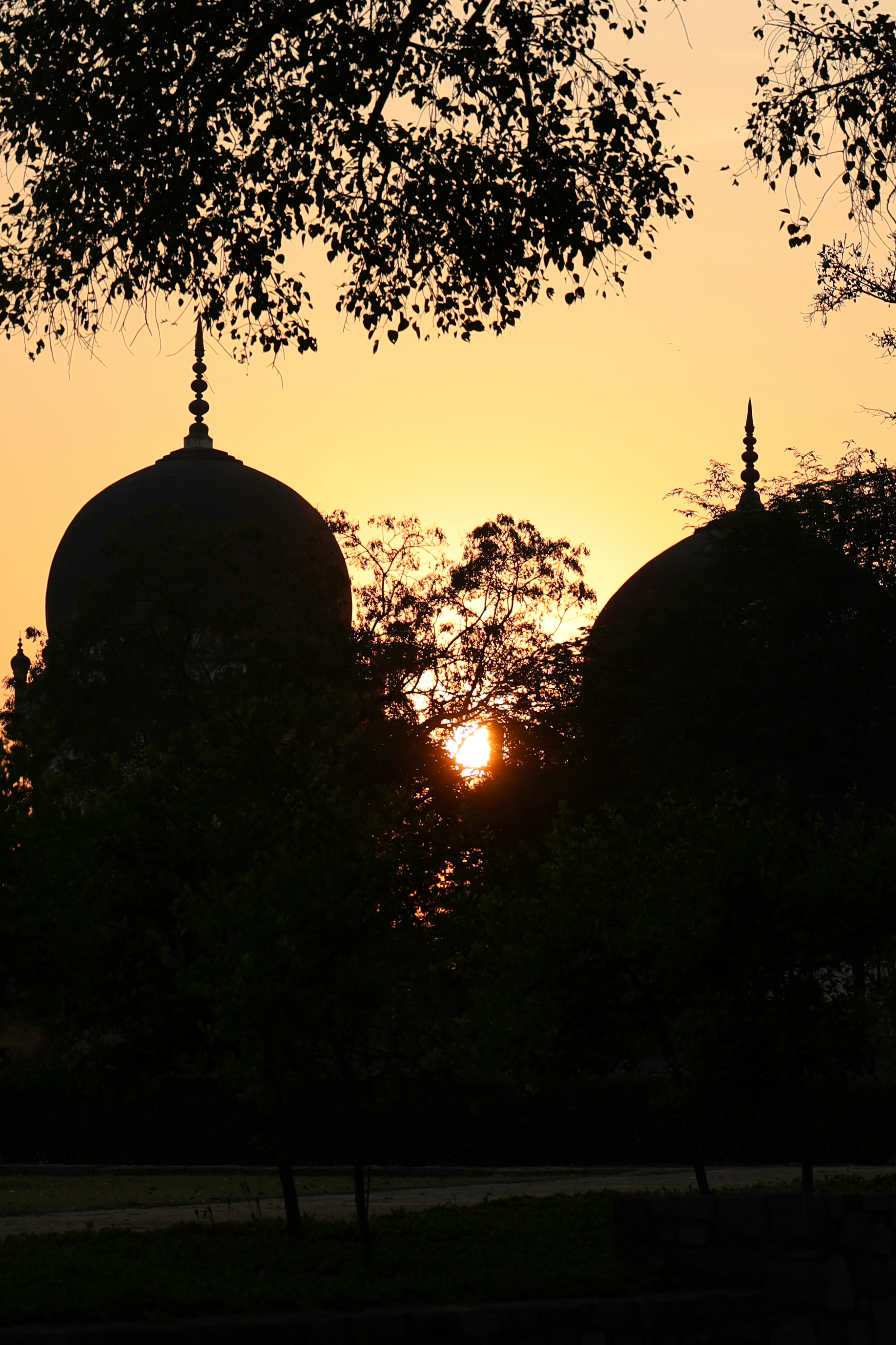 Photo by aditya_sethia_97