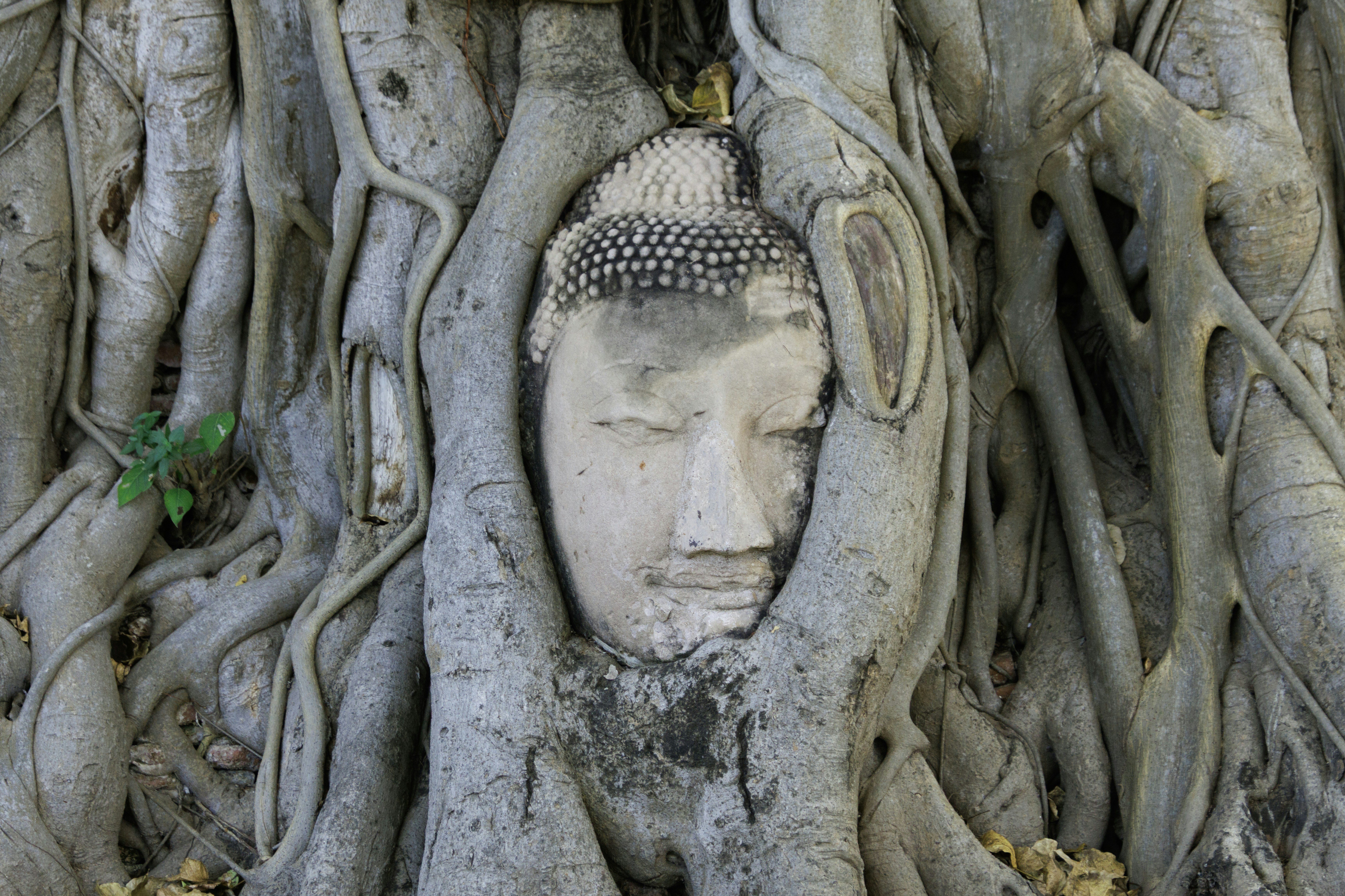 Photo by blog_region