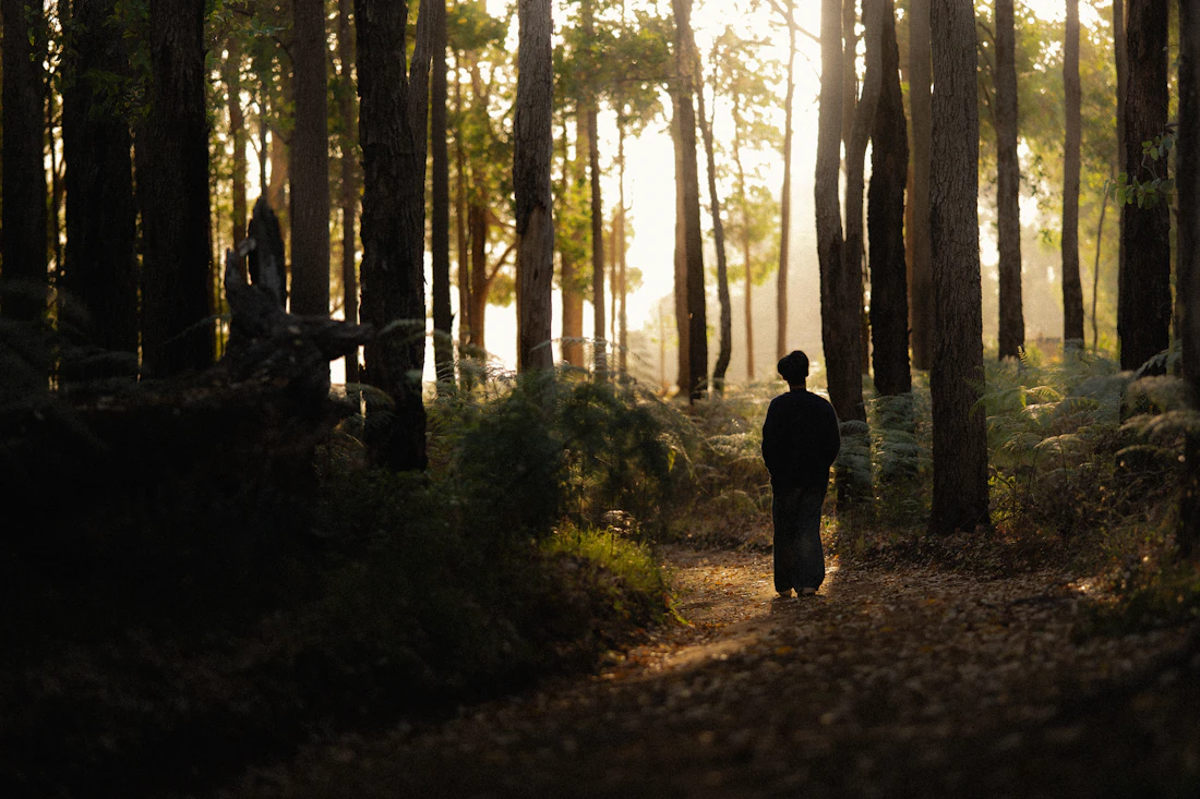 Person auf einem hellen Waldweg als Symbol für die schrittweise gesundheitliche Erholung