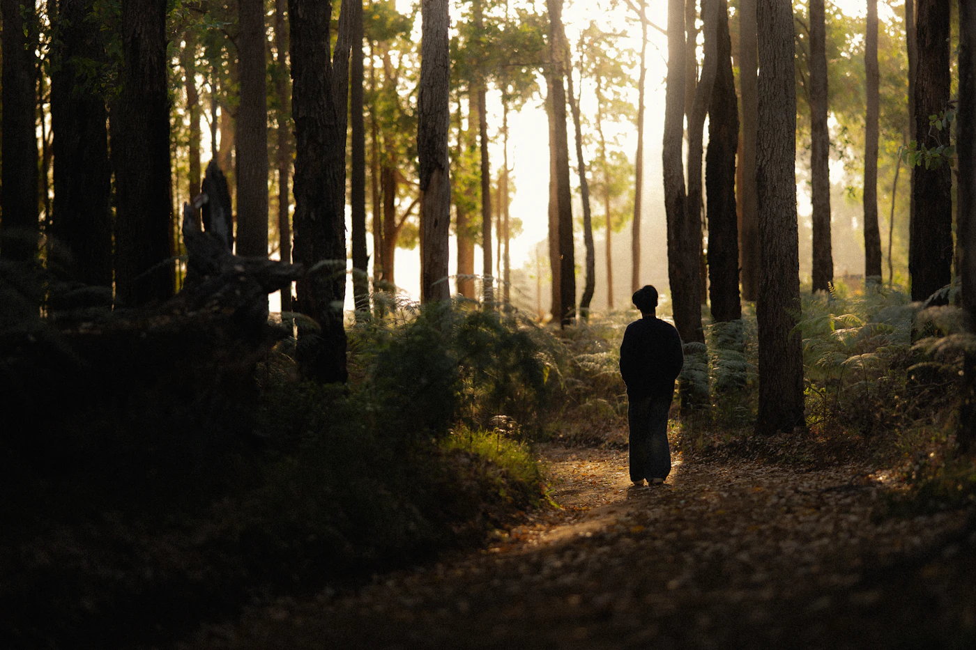 Person auf einem Waldweg im Morgenlicht als Symbol für 7 Tage rauchfrei