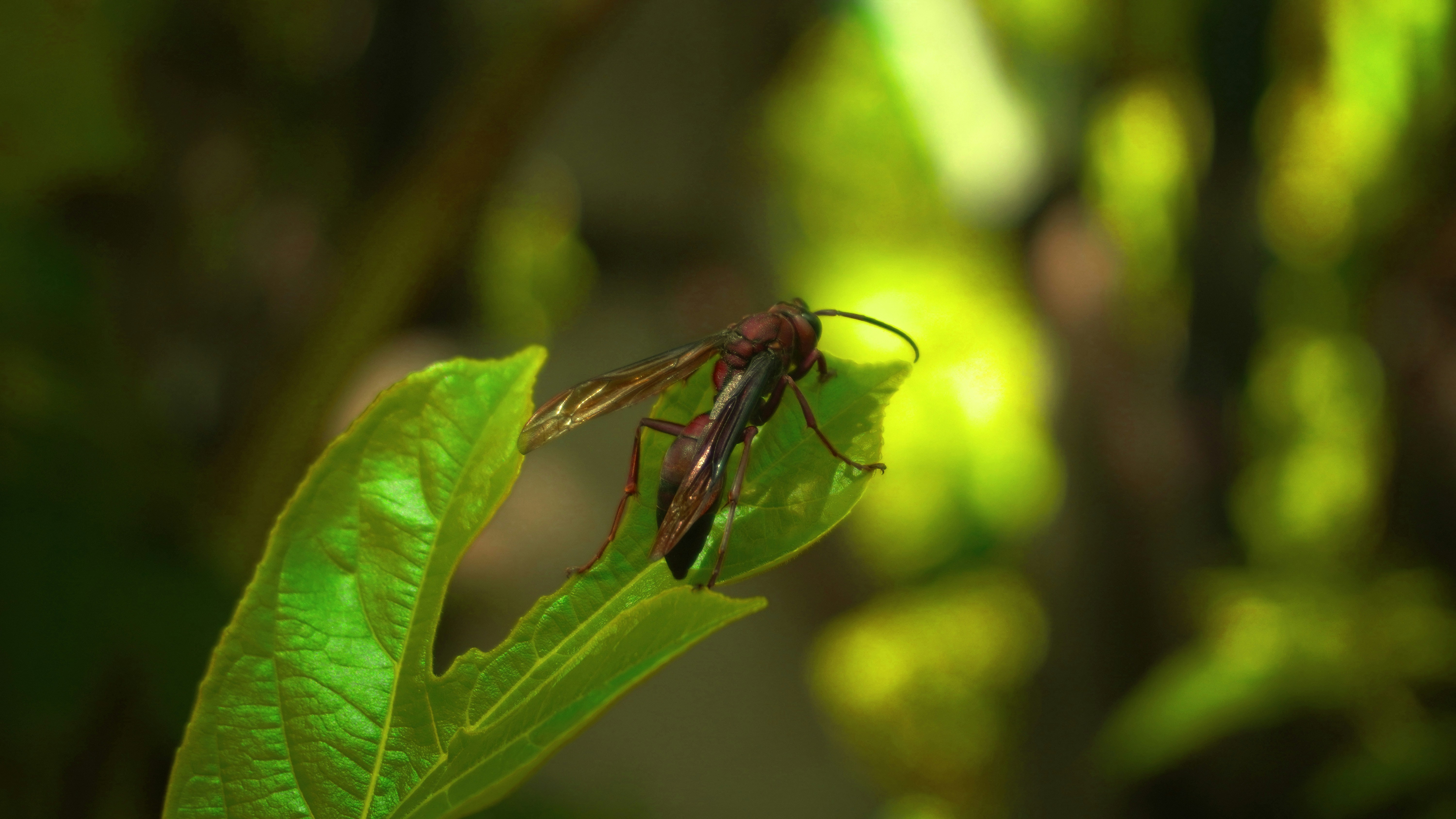 Photo by alamsyah112