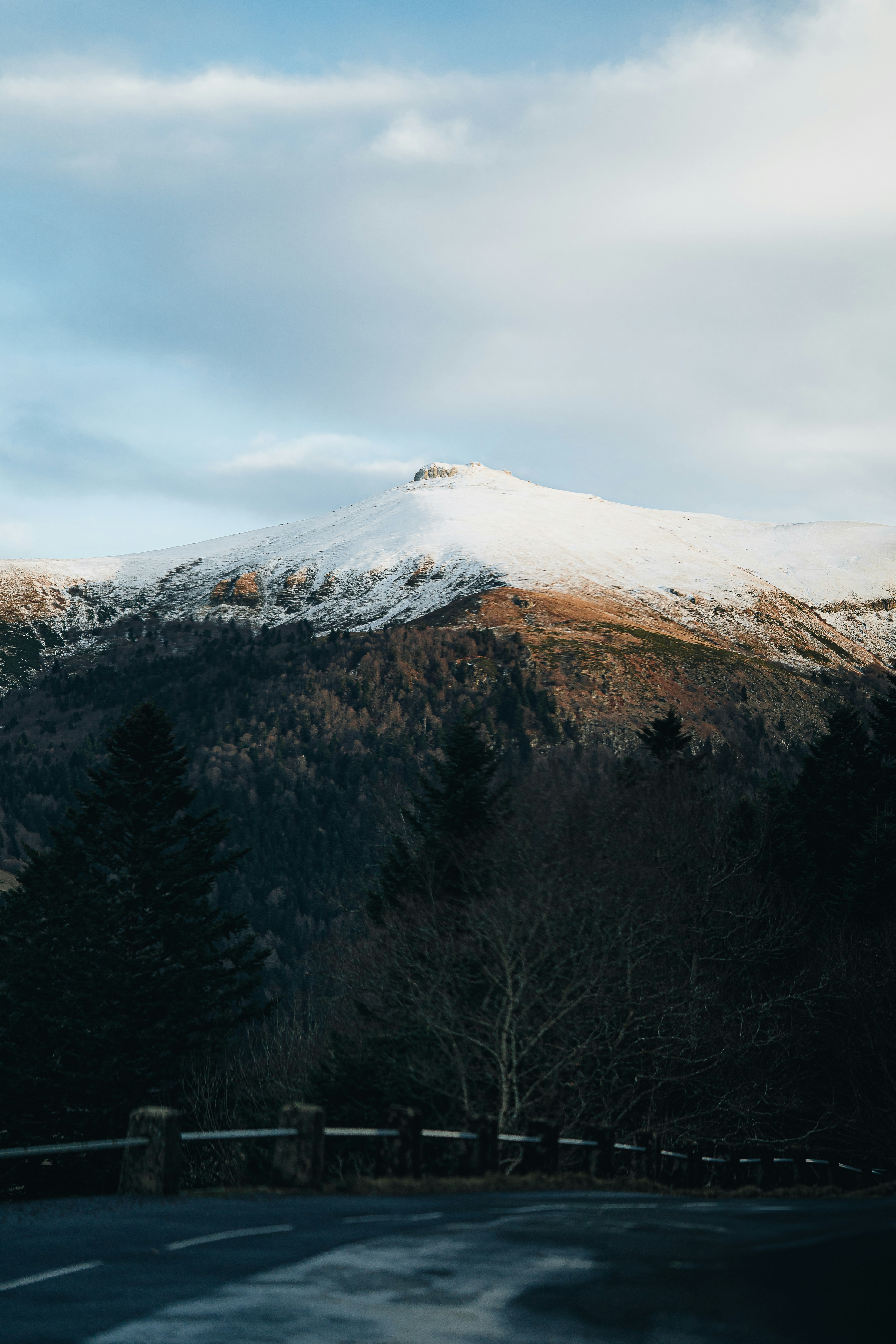 Sommet montagneux enneigé au-dessus des arbres sombres de la forêt