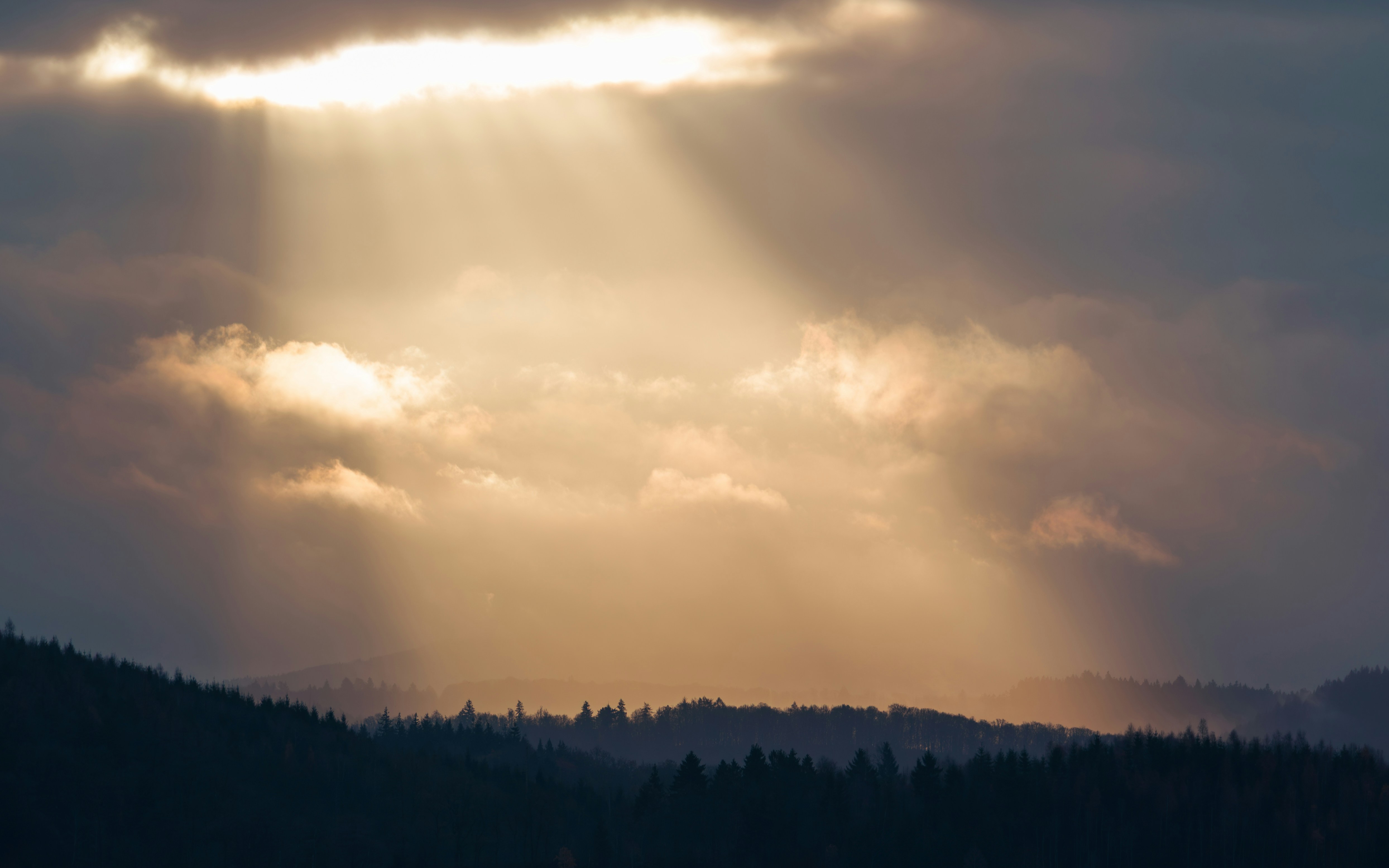 Photo by shibinjoseph