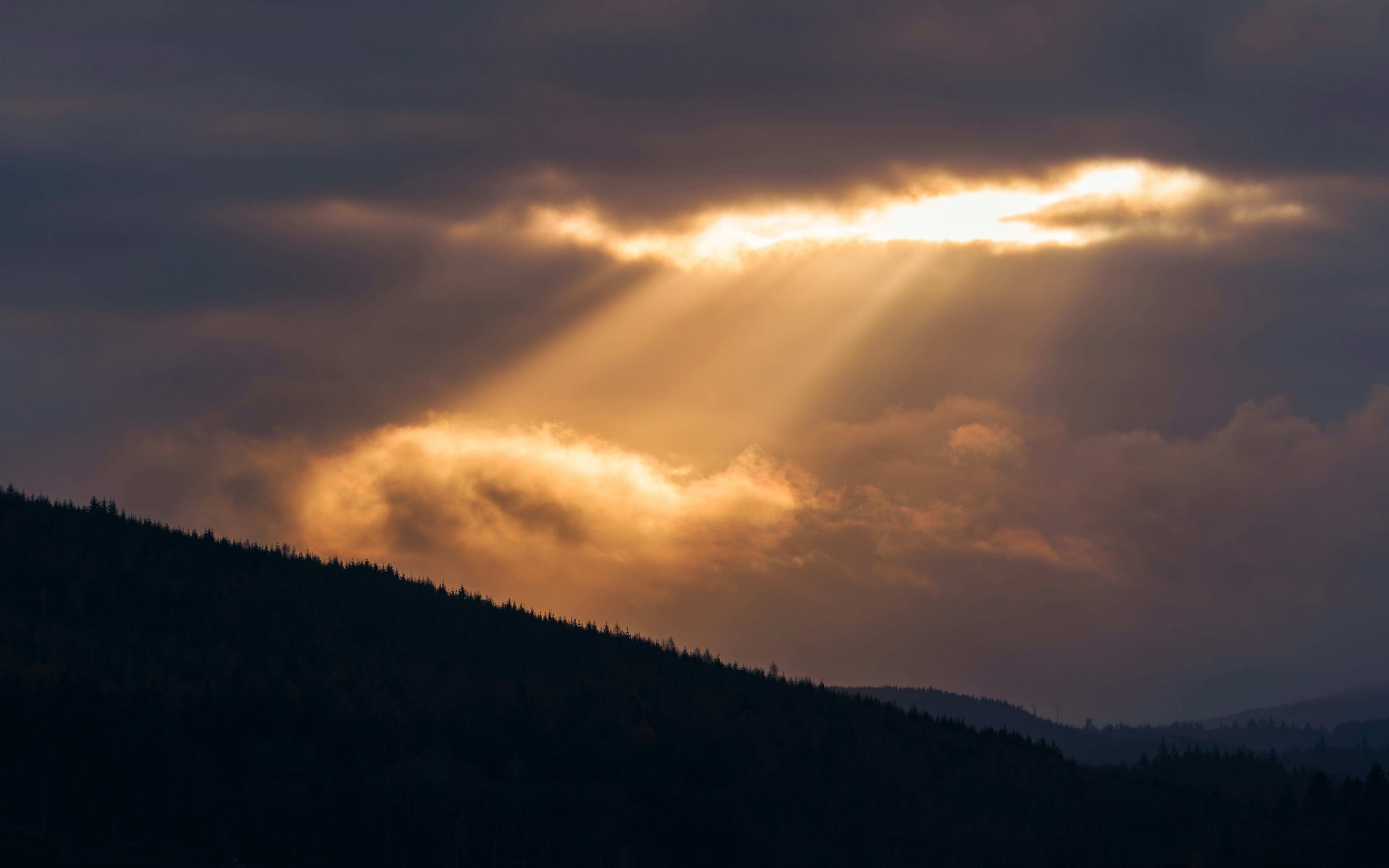 Photo by shibinjoseph