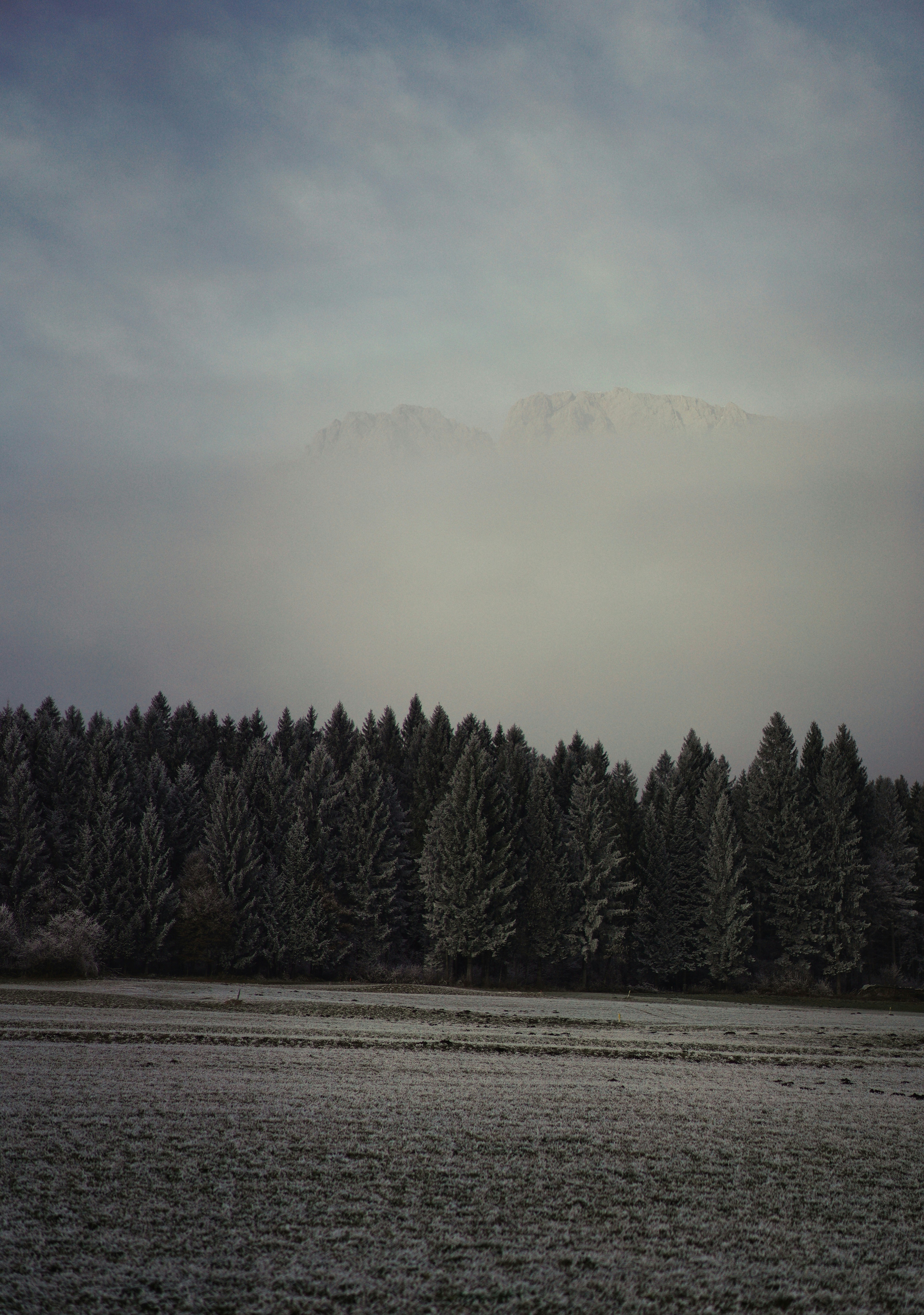 Misty mountains above a frosted forest and field.