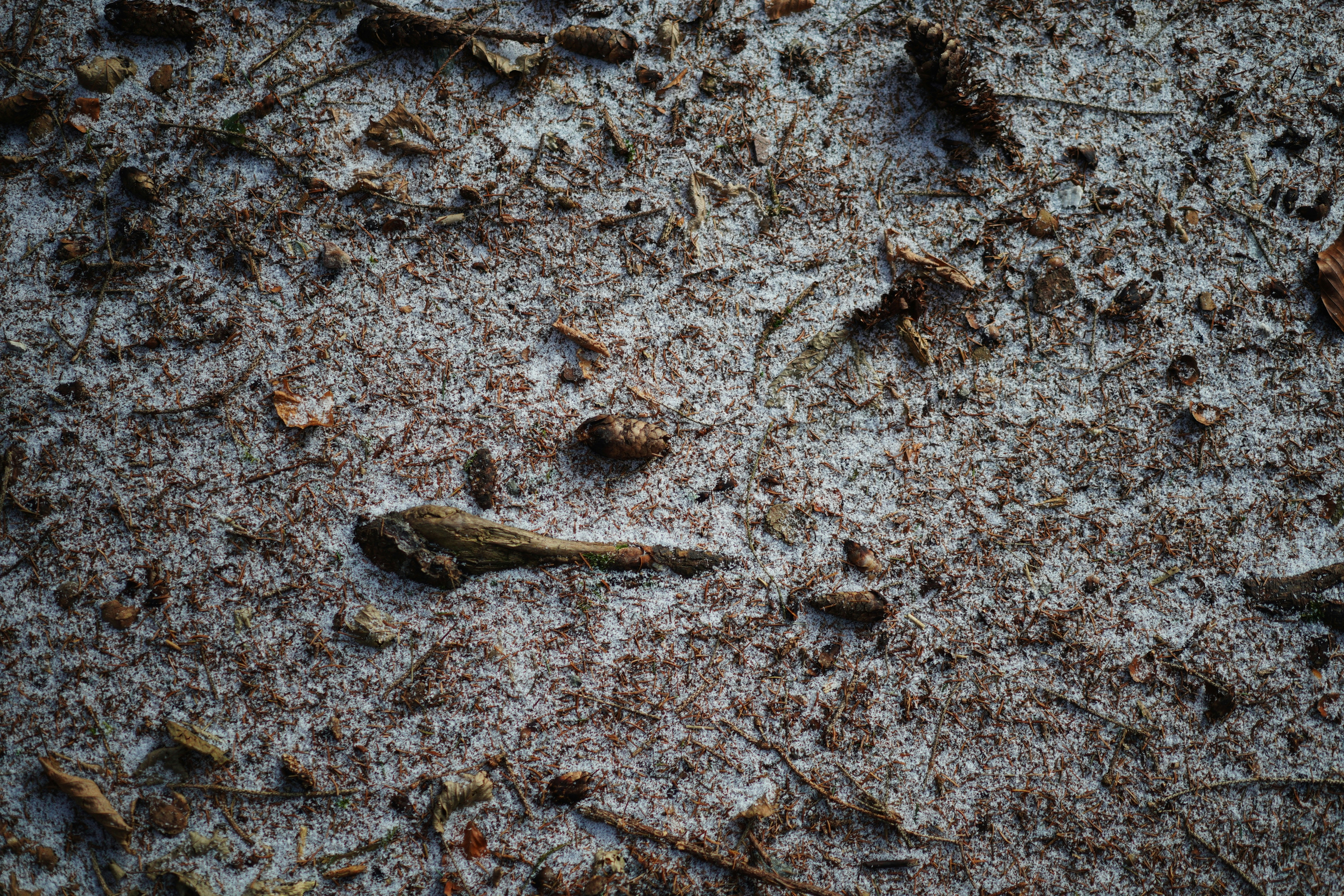 Rough textured surface with small debris.