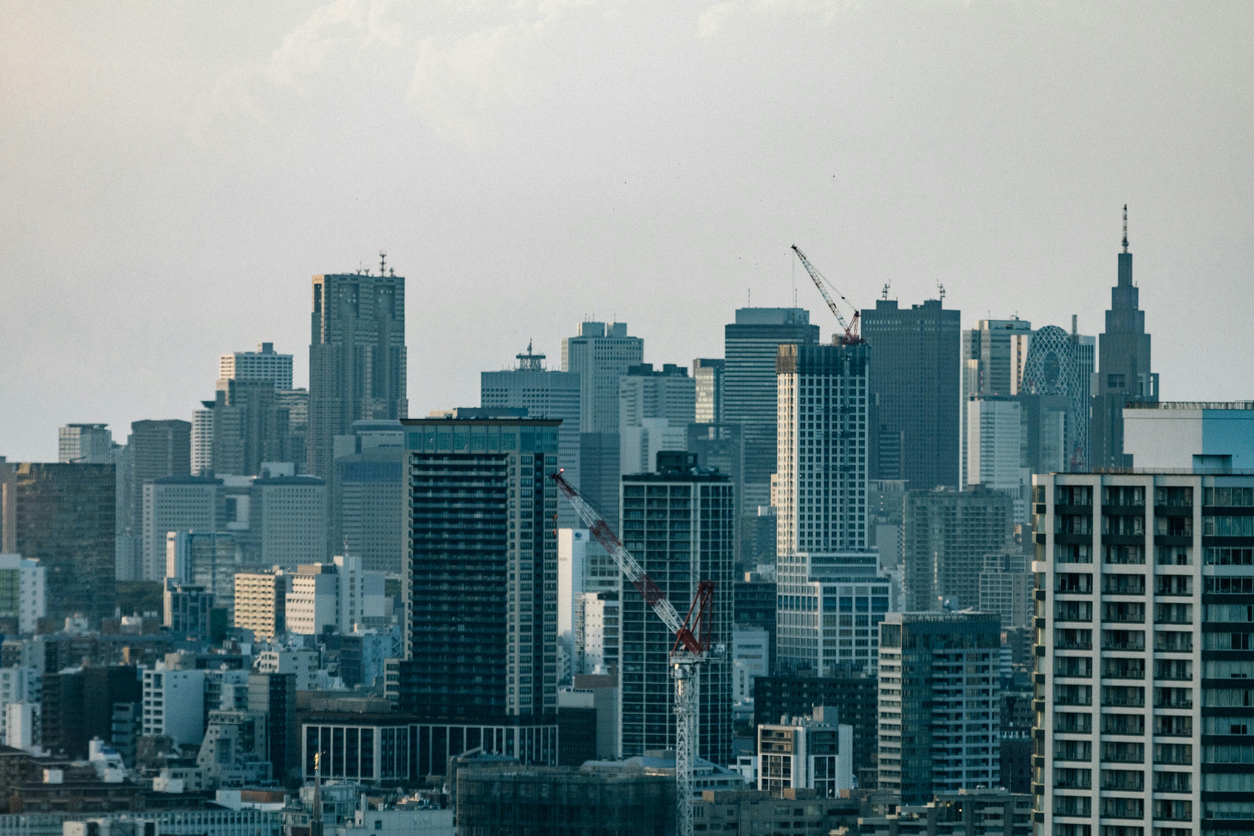 Photo by tsuyoshikozu