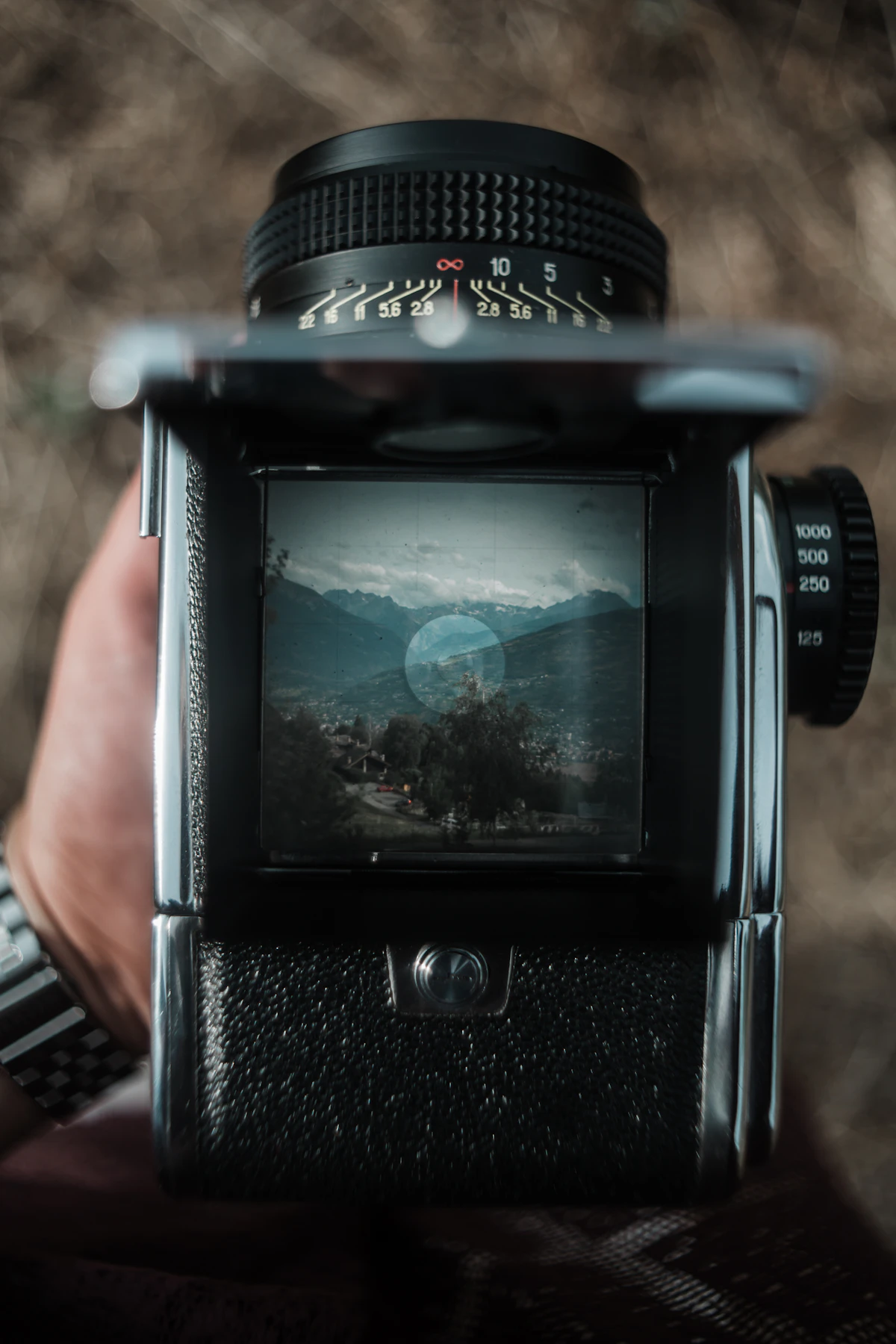 How to Check a Photo's Composition With a Rule-of-Thirds Grid