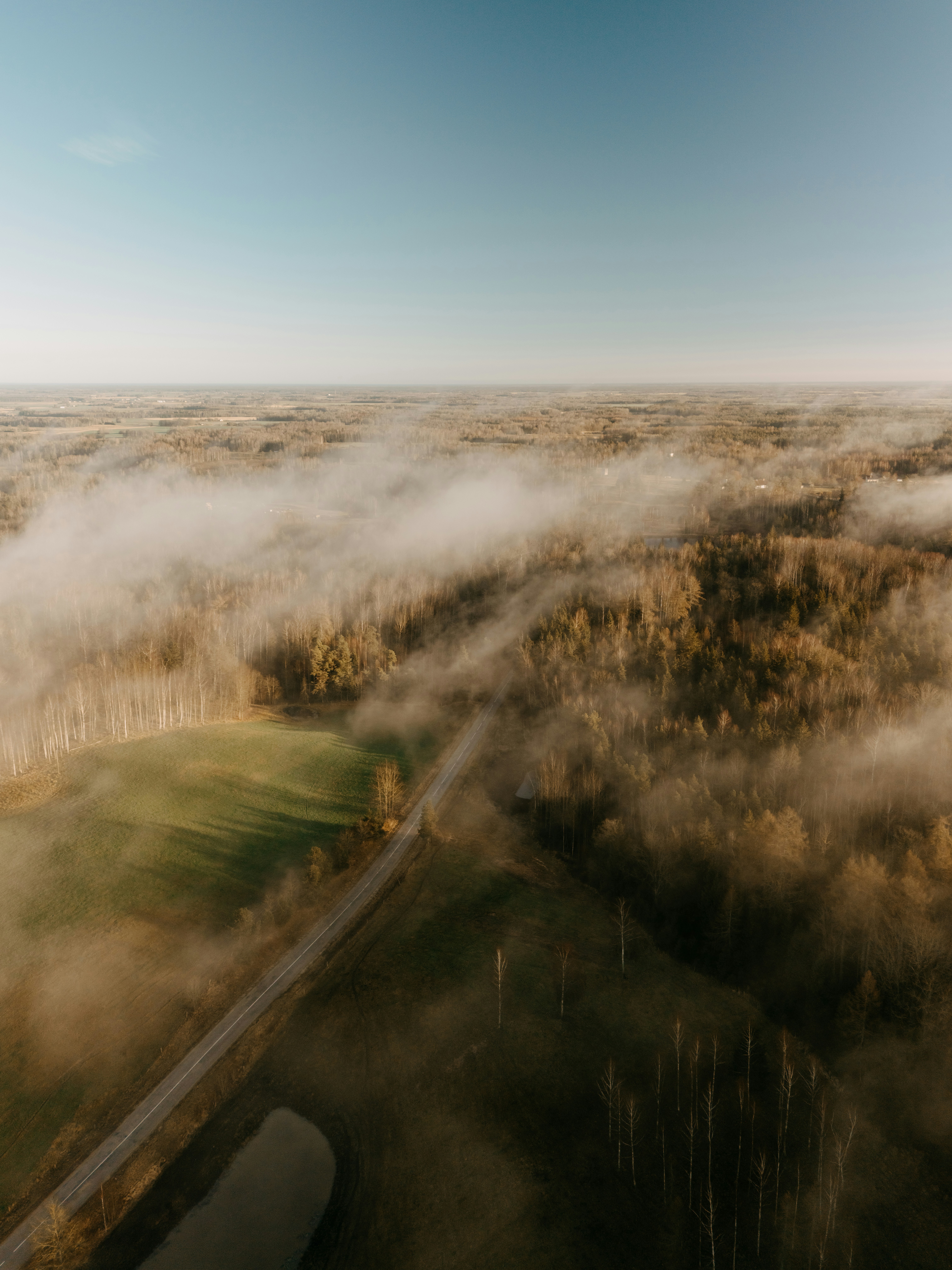 Misty forest landscape with fields and road.