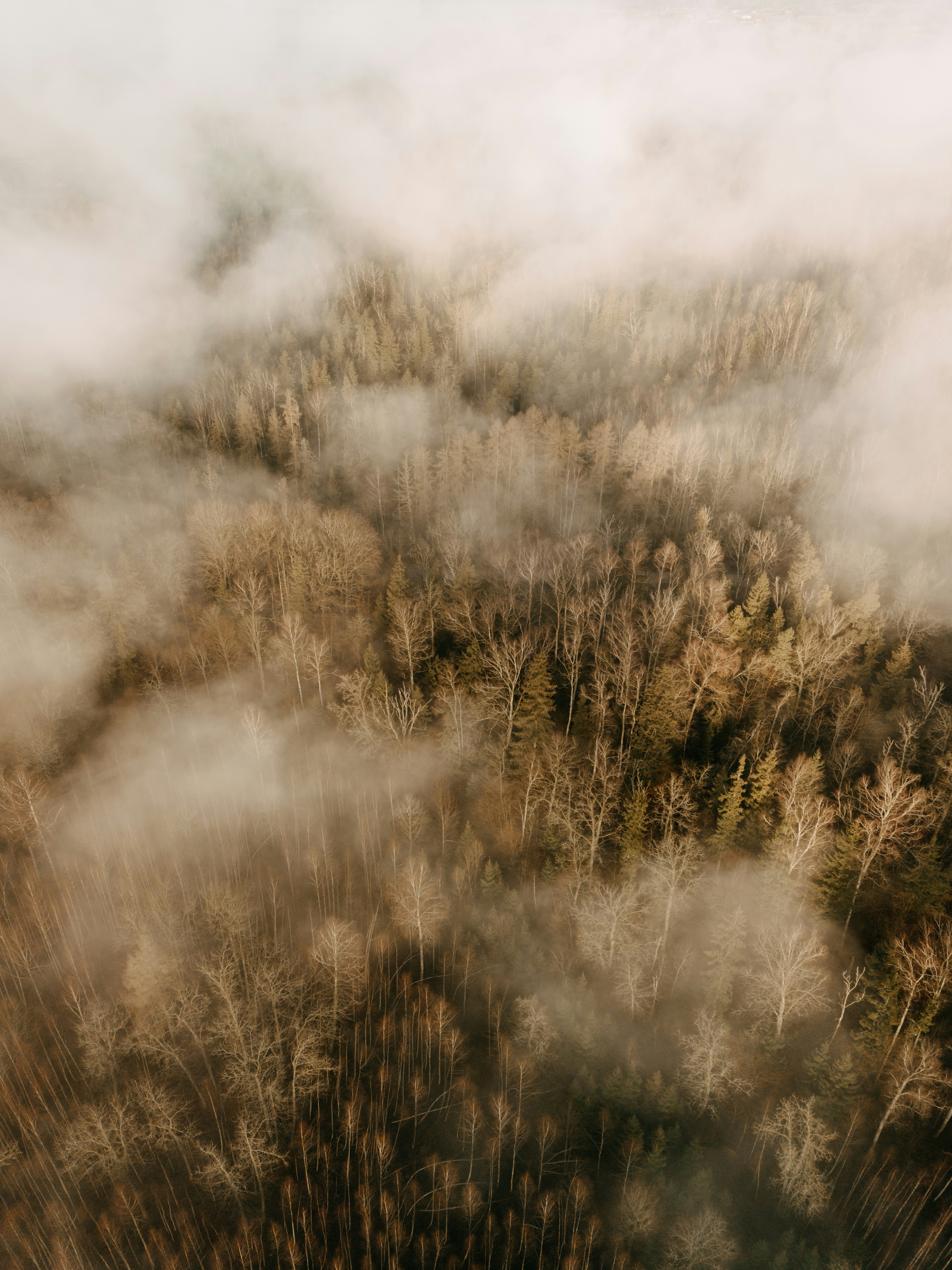 Photo by vilkuaivars