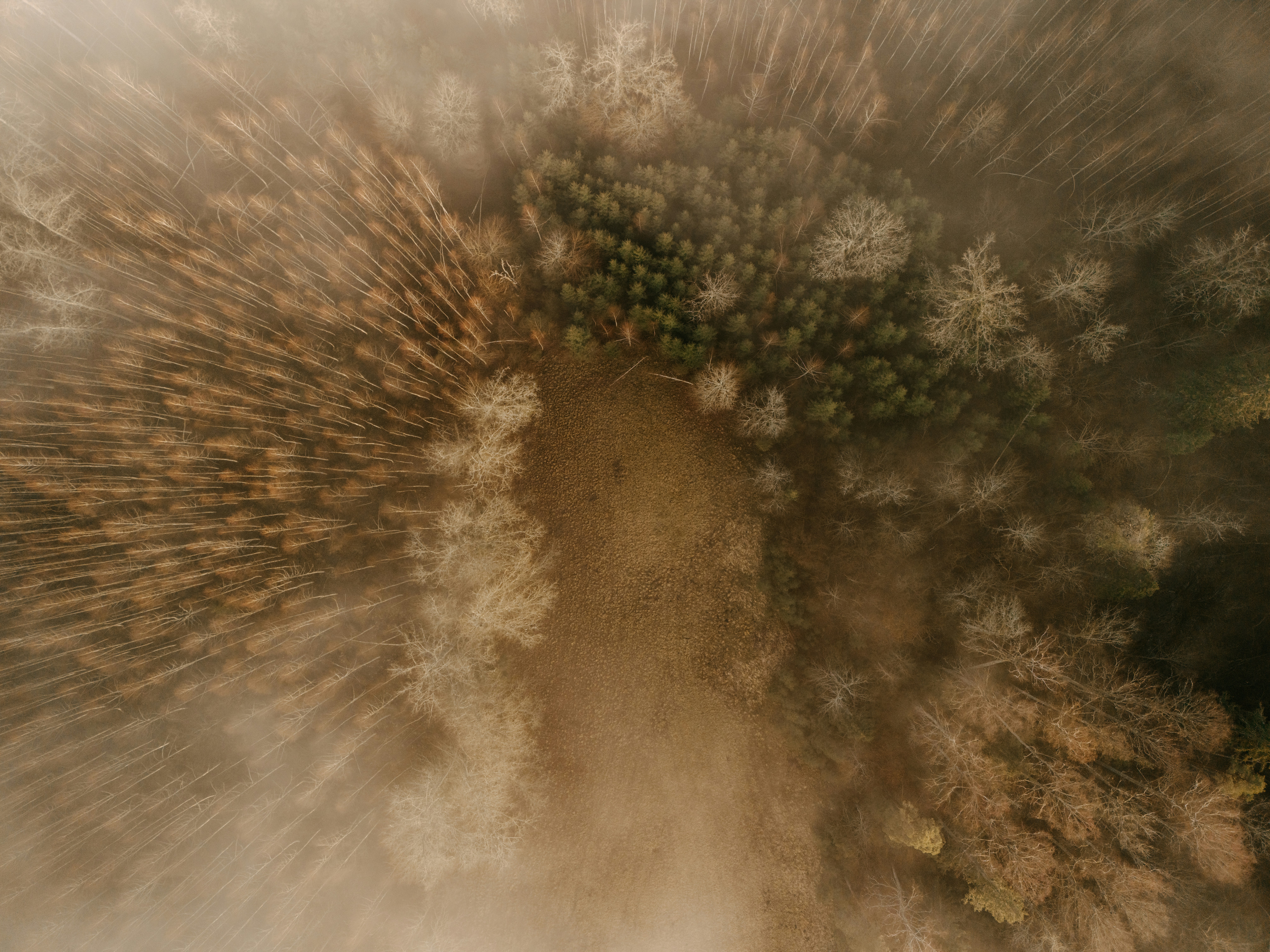 Photo by vilkuaivars