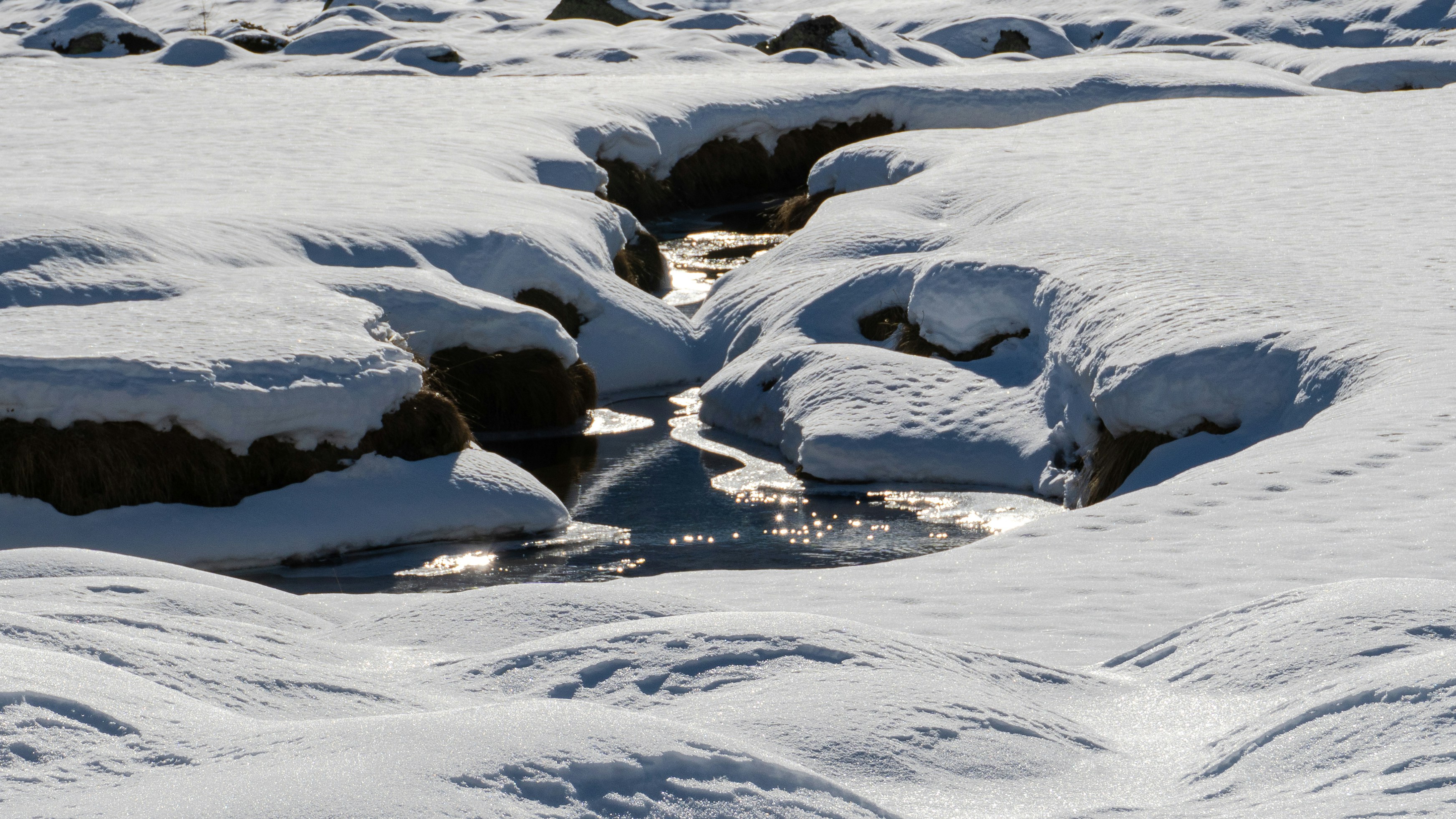 Photo by diegomattevi