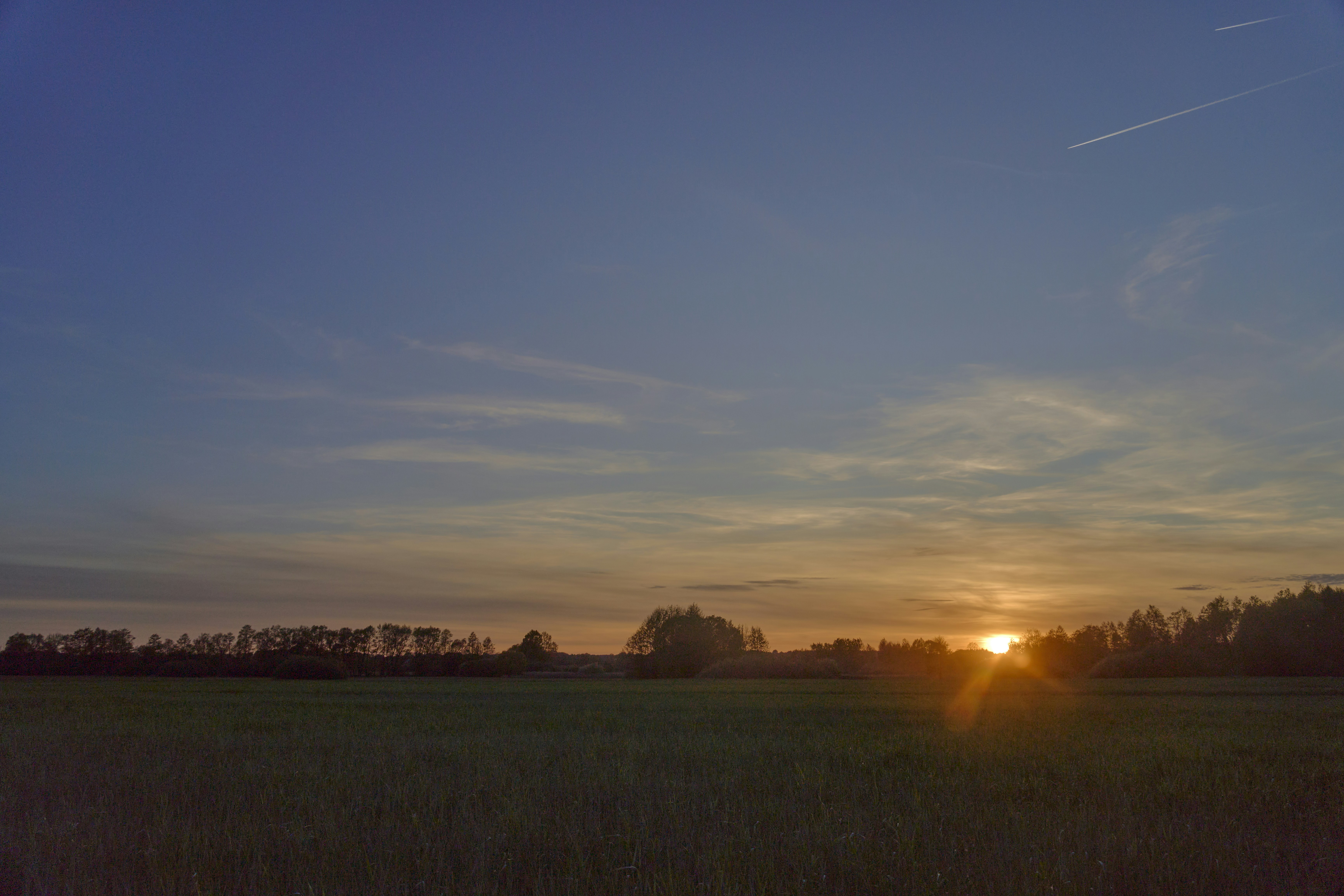 Photo by wolfgang_hasselmann