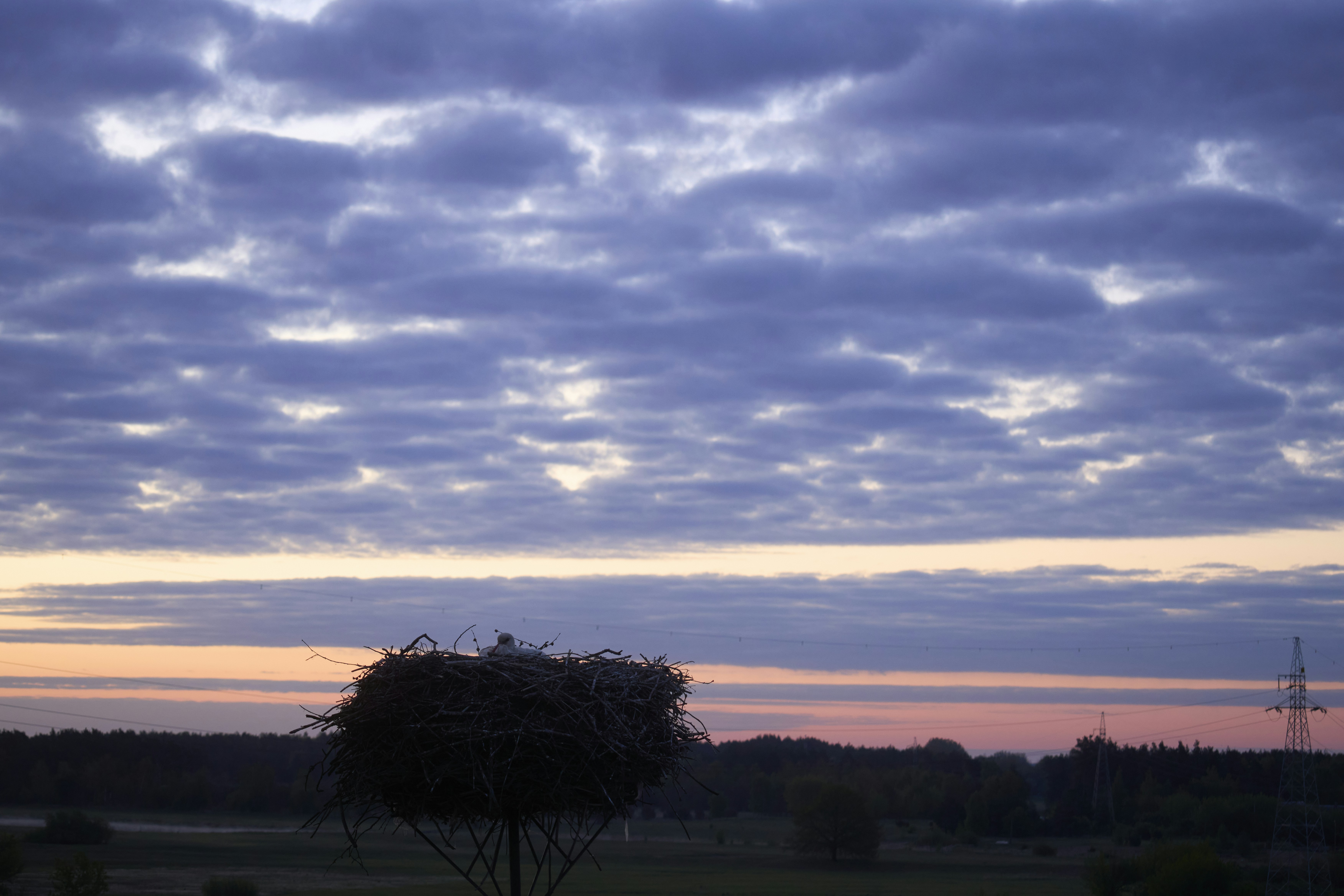 Photo by wolfgang_hasselmann