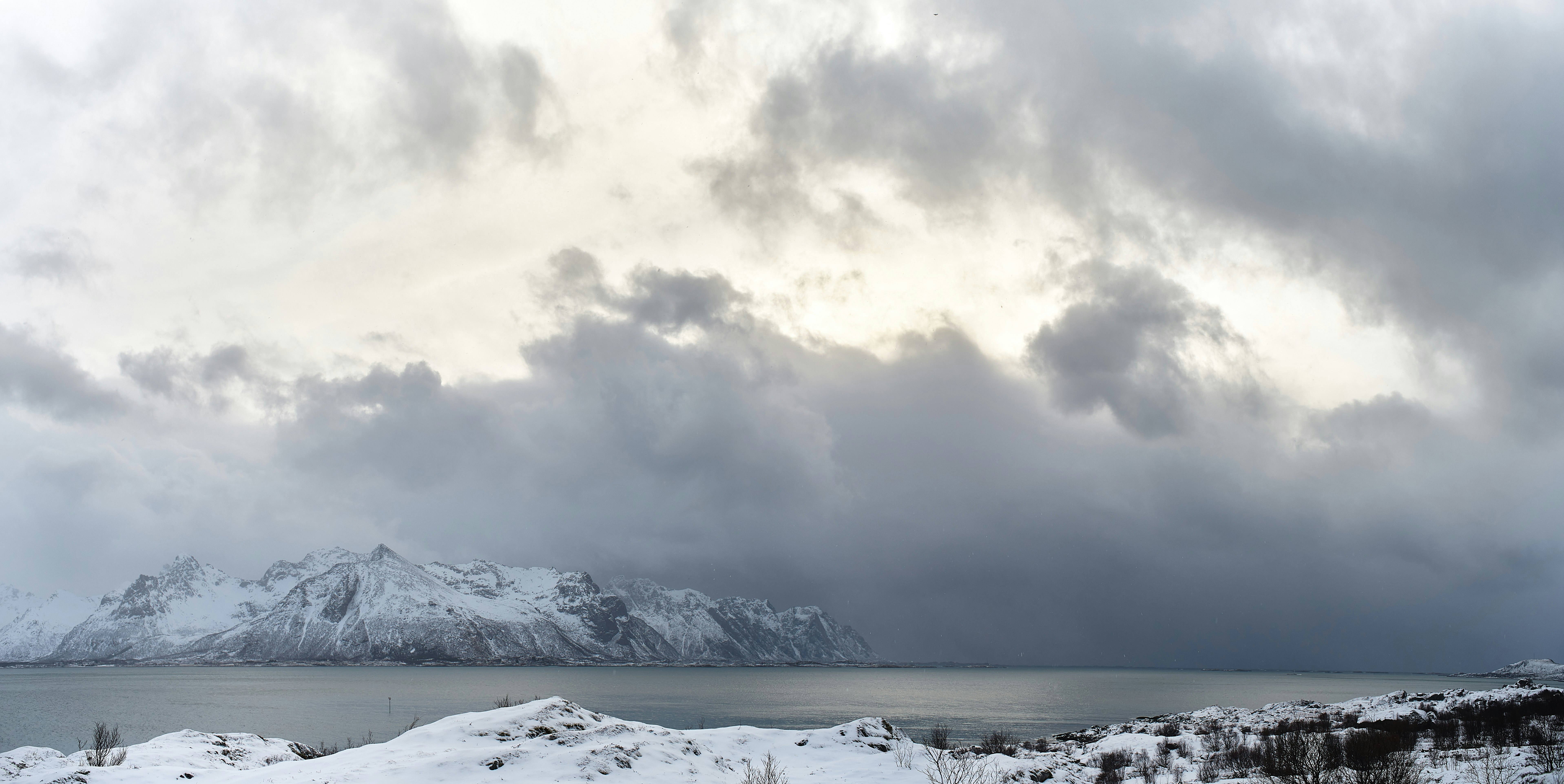 Photo by wolfgang_hasselmann