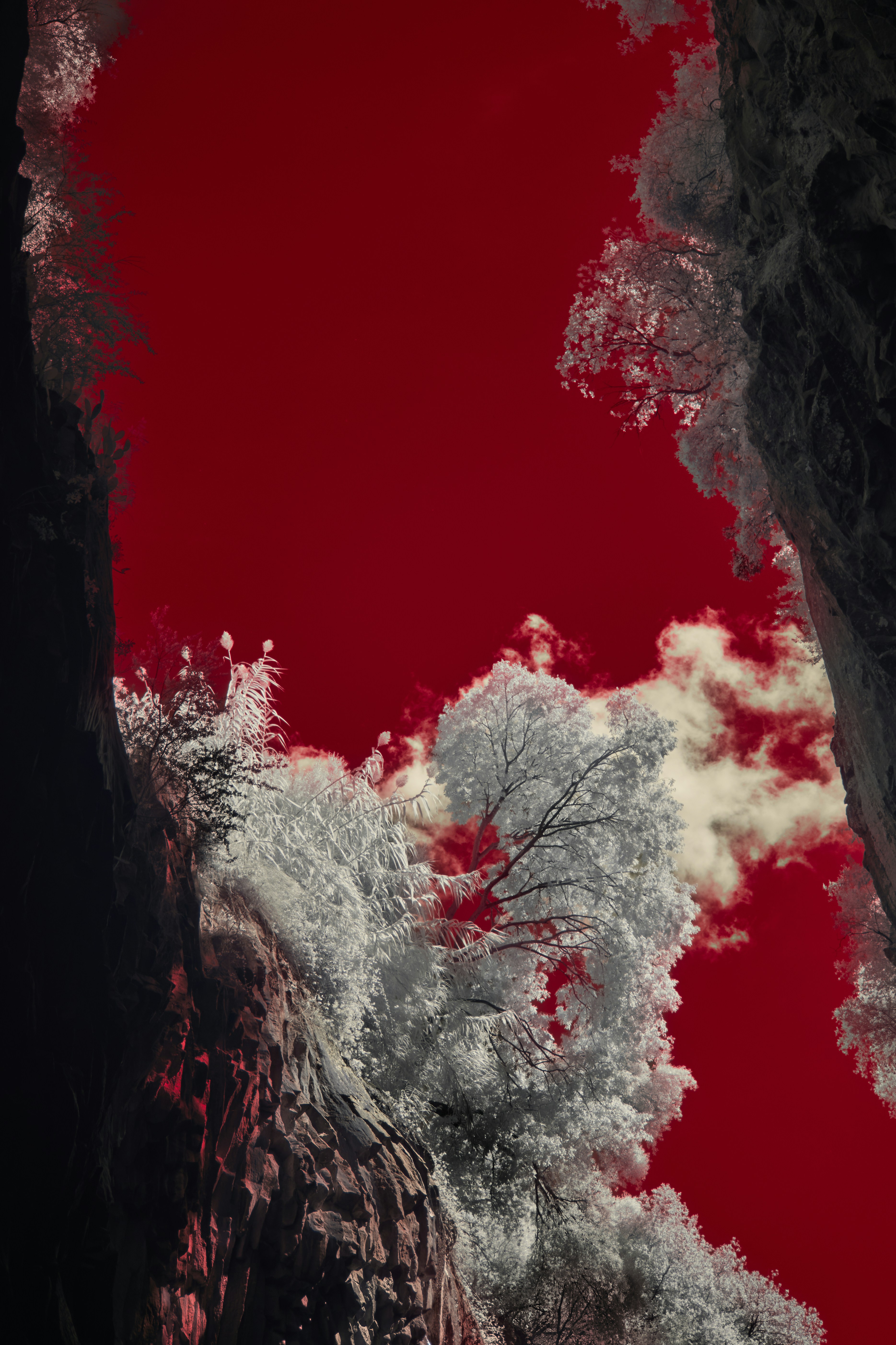 Photo by wolfgang_hasselmann