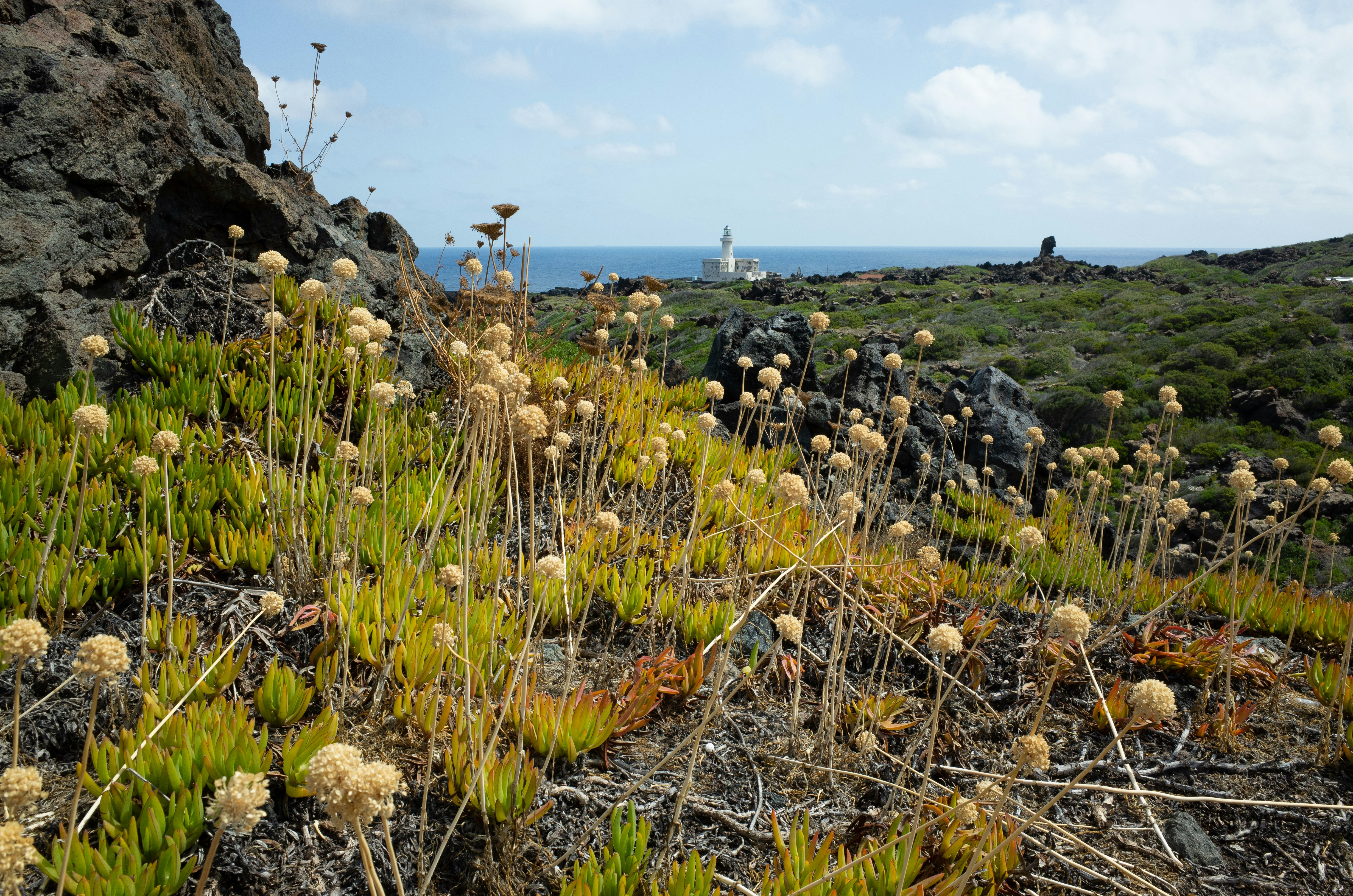 Coastal landscape with dry grass and distant lighthouse.