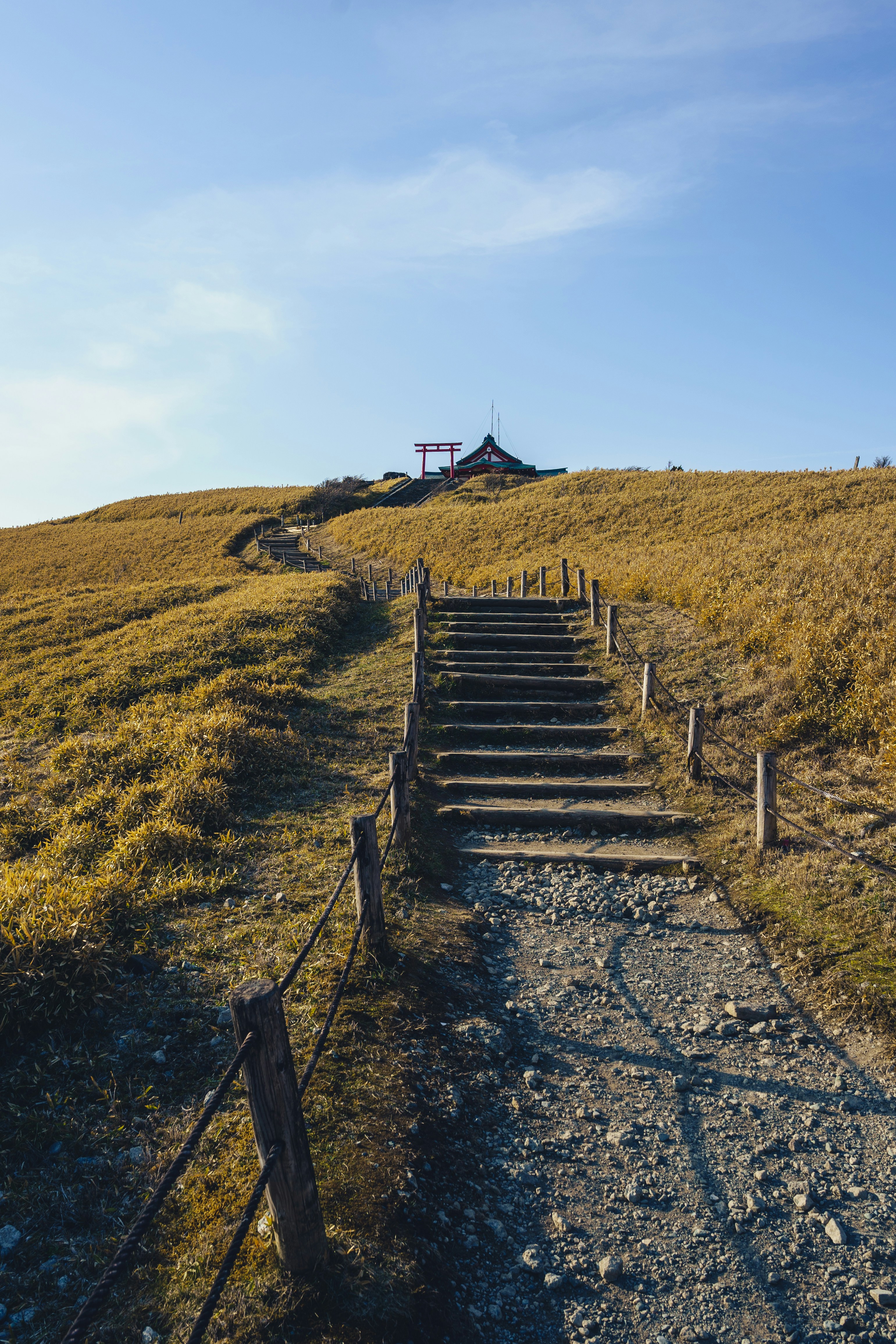 Stone steps lead up a grassy hill to a building.